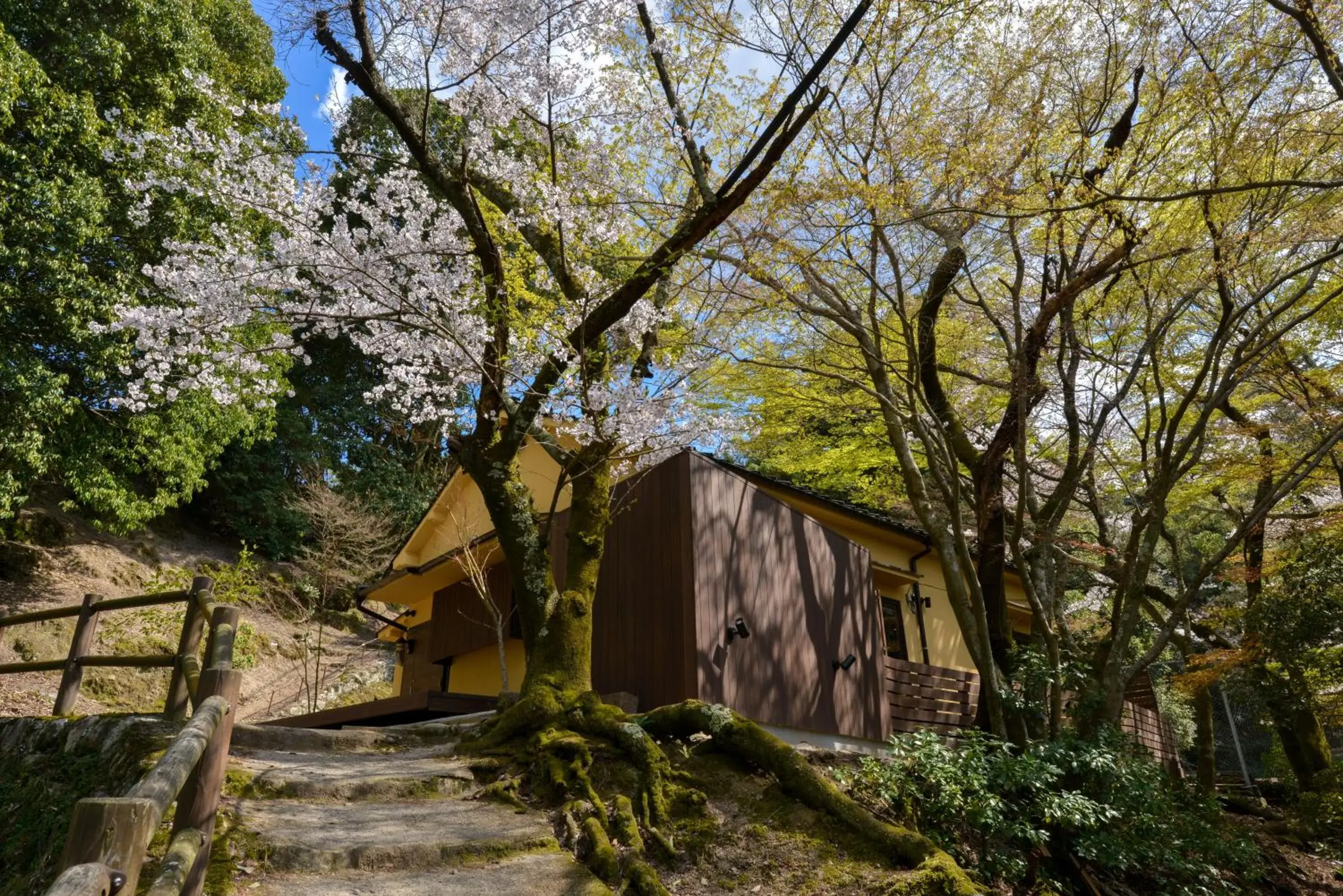 Villa Hamorebi Villa Hamorebi