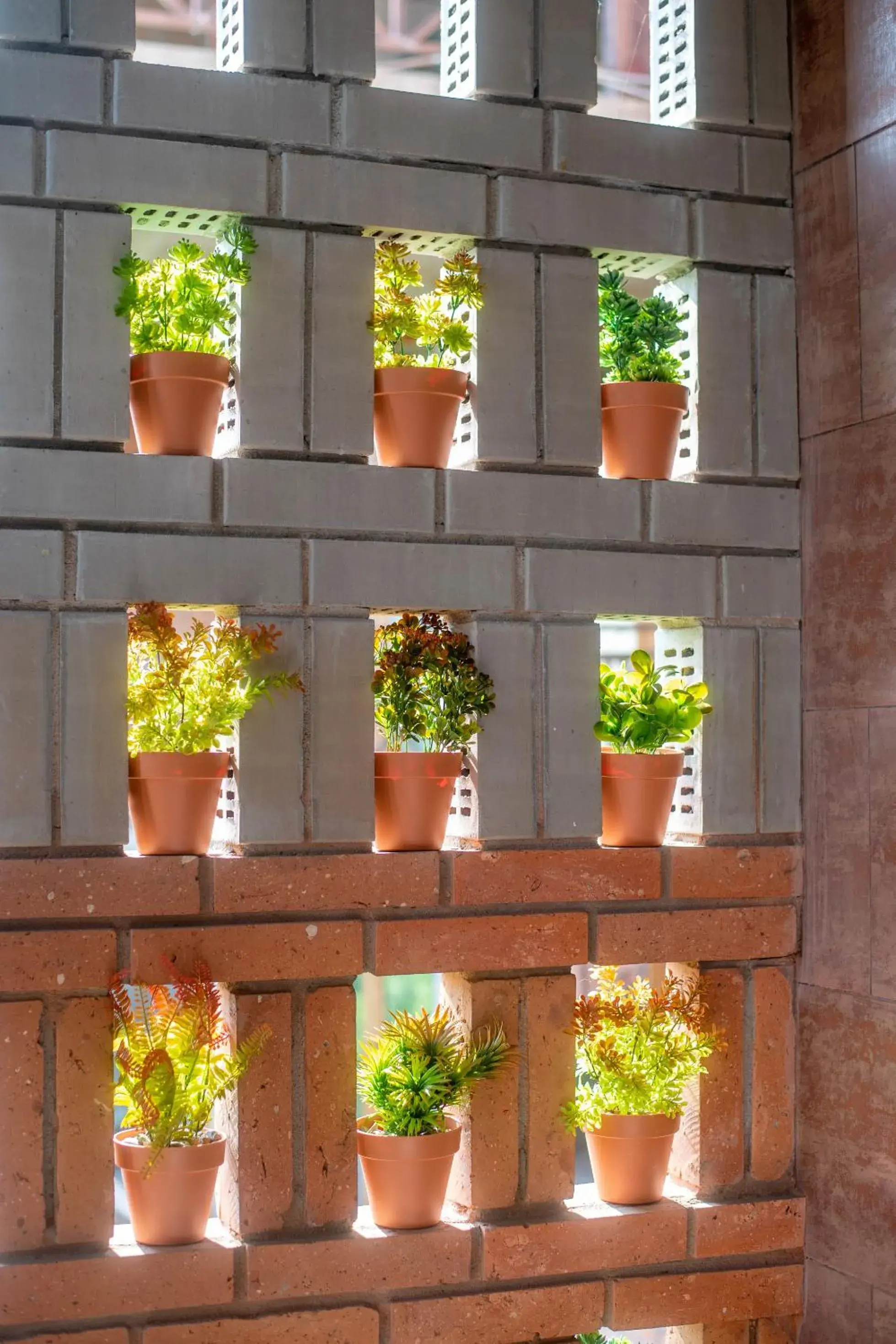 Garden view in Sandali Metekhi Boutique Hotel Garden view in Sandali Metekhi Boutique Hotel