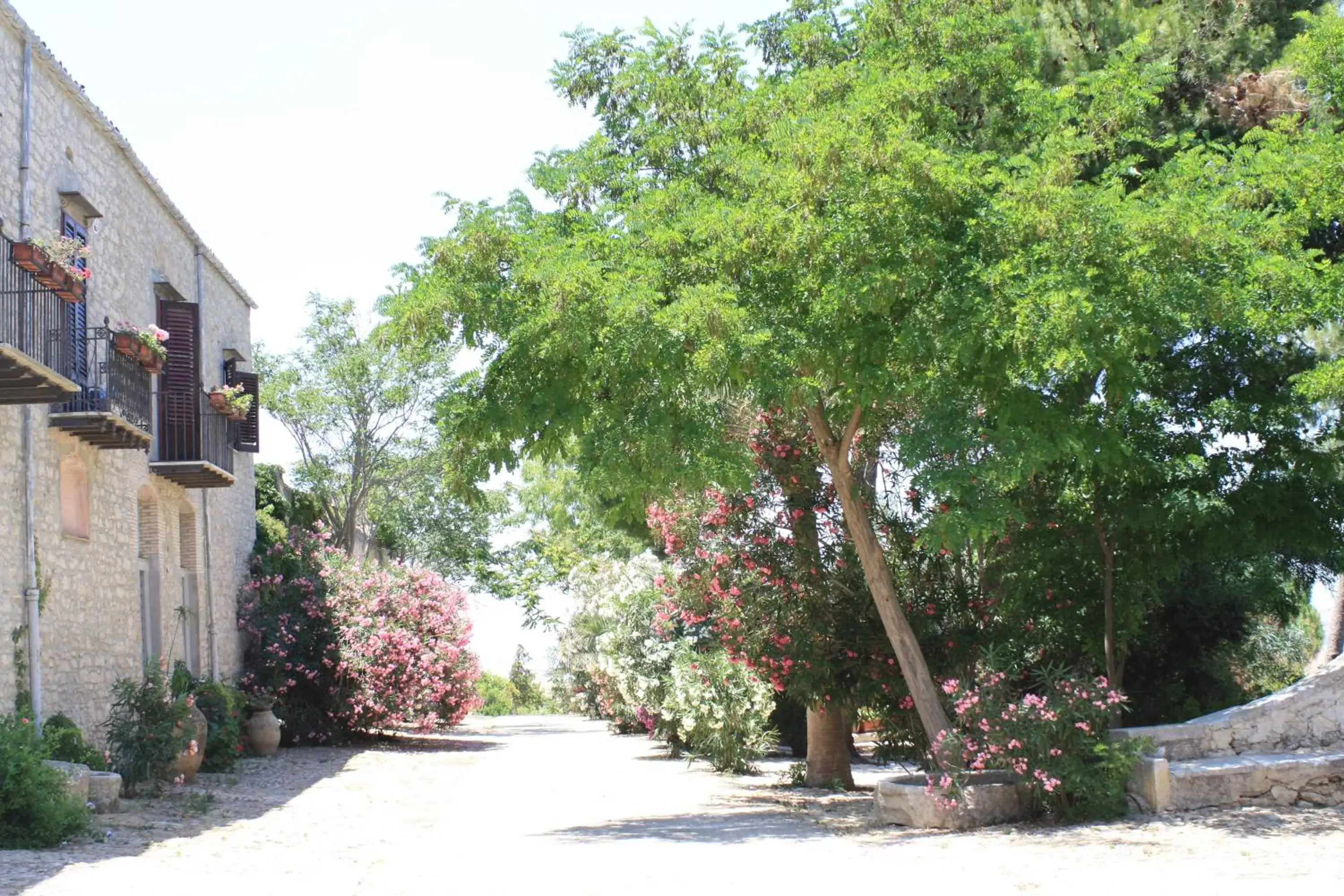 Agriturismo Ridocco Agriturismo Ridocco