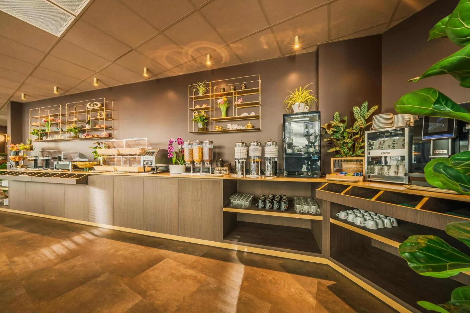 Buffet breakfast in Hotel Tropicana