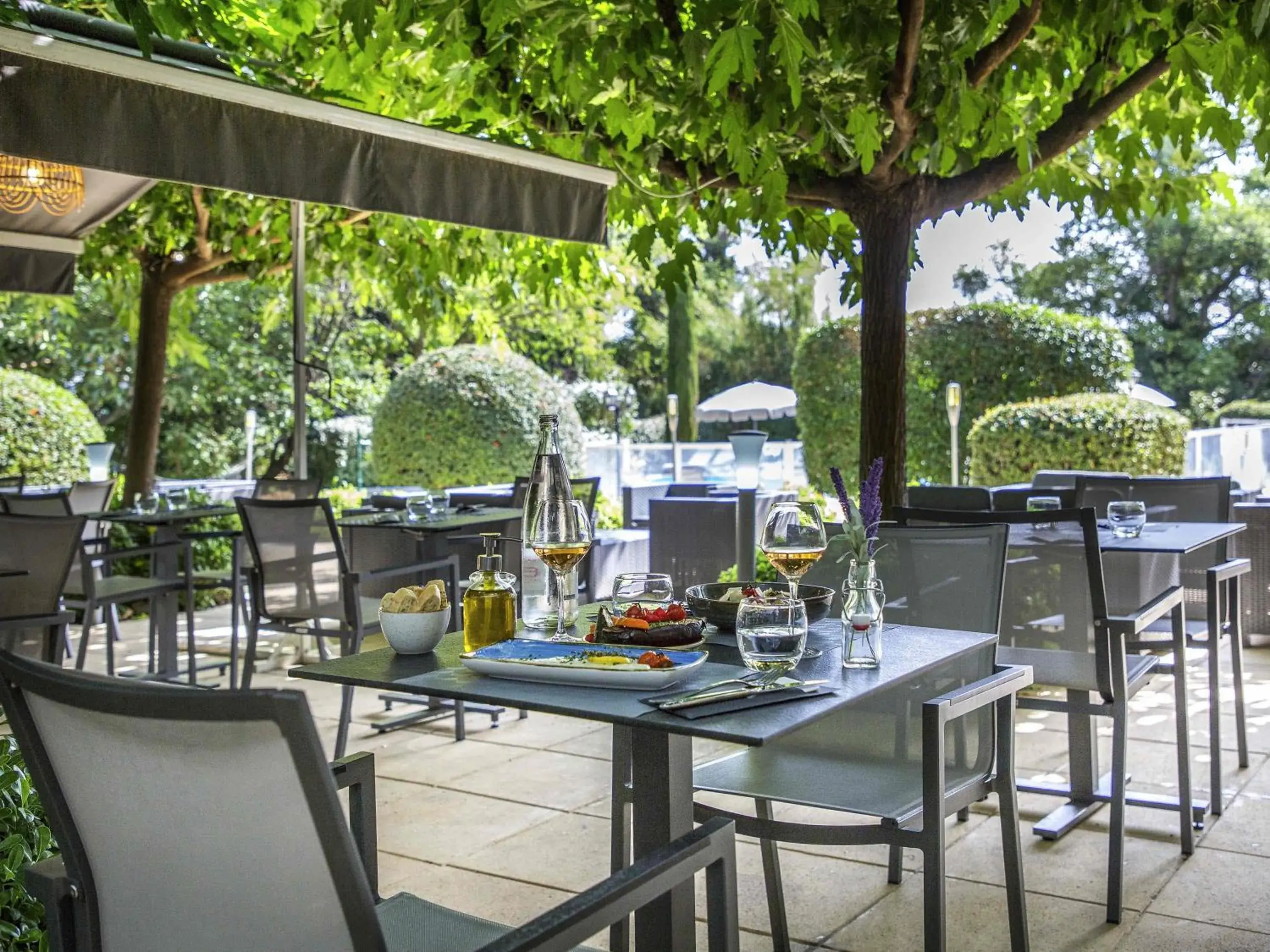 Restaurant/places to eat in Mercure Cavaillon Restaurant/places to eat in Mercure Cavaillon