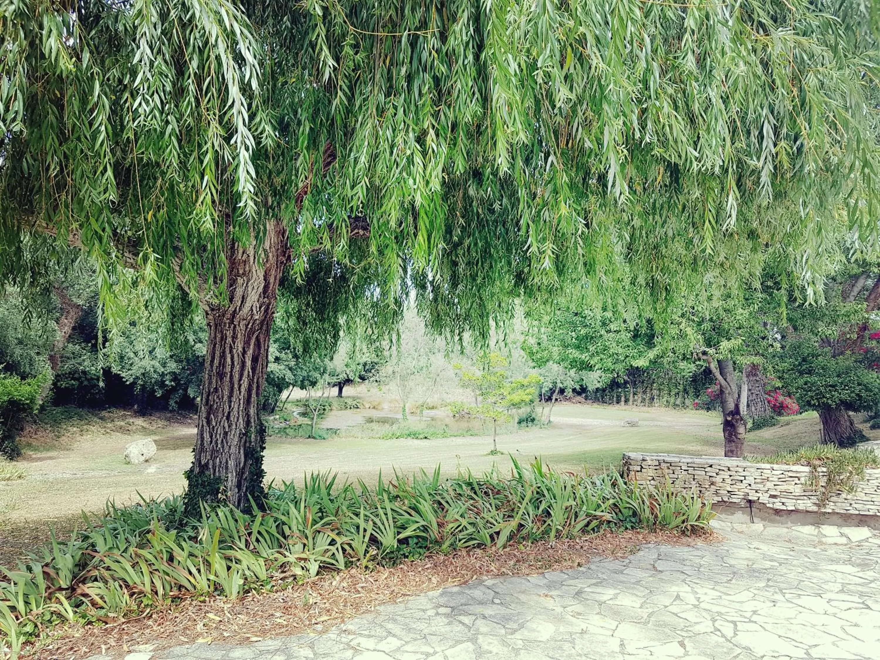 Garden in ibis Styles Arles Palais des Congrès