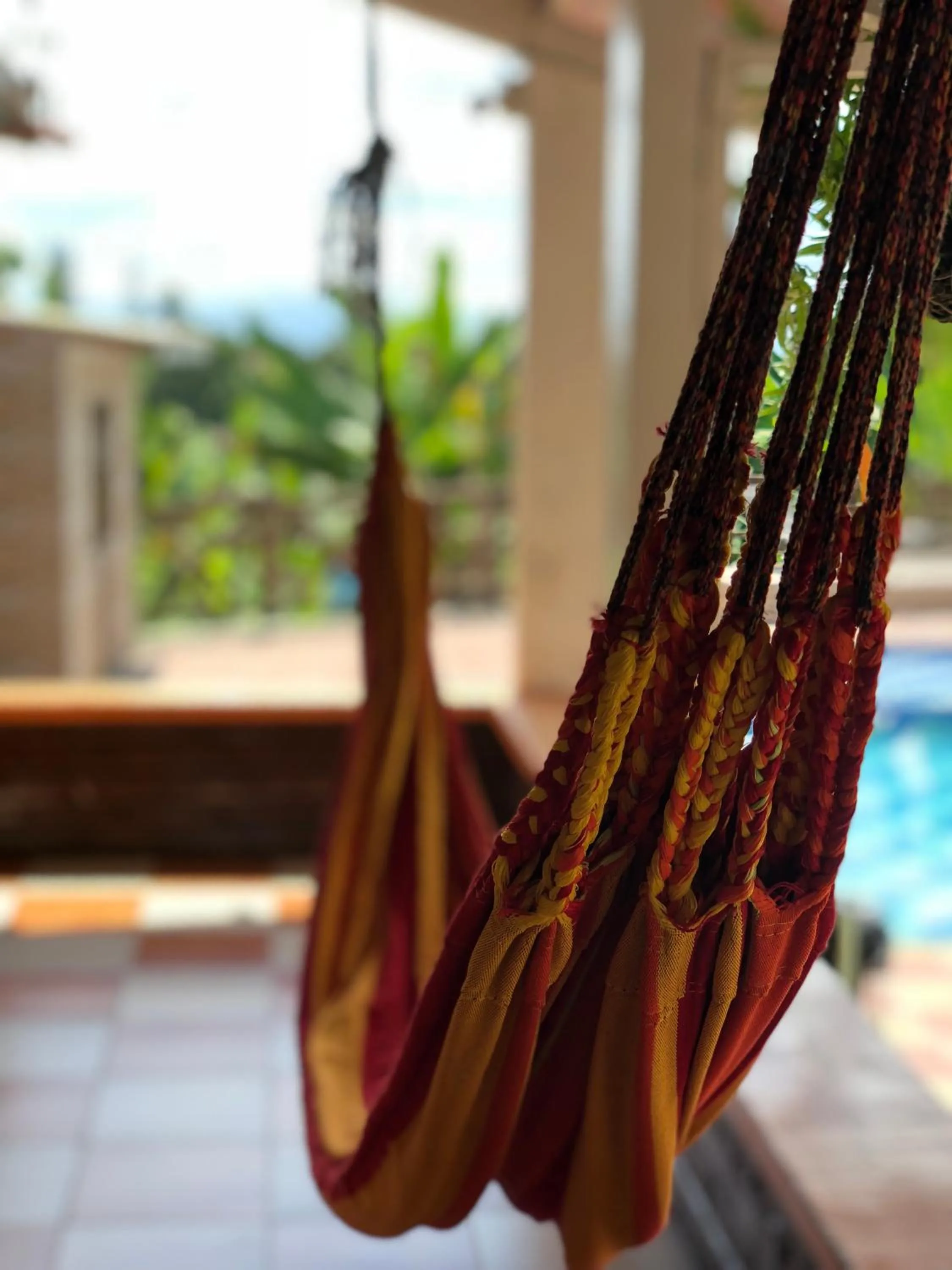 Area and facilities in Eco Hotel las Palmas