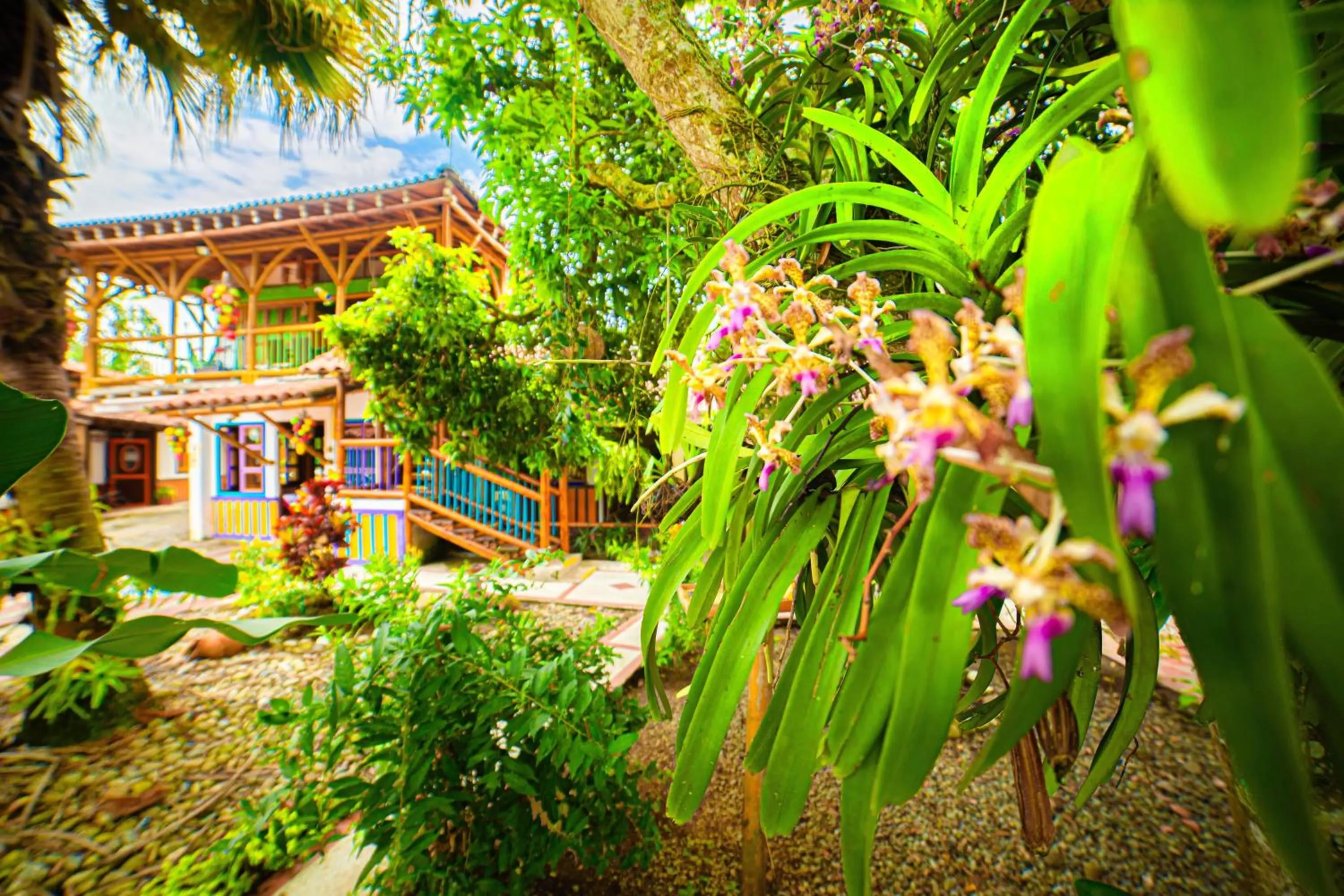 Garden view in Eco Hotel las Palmas