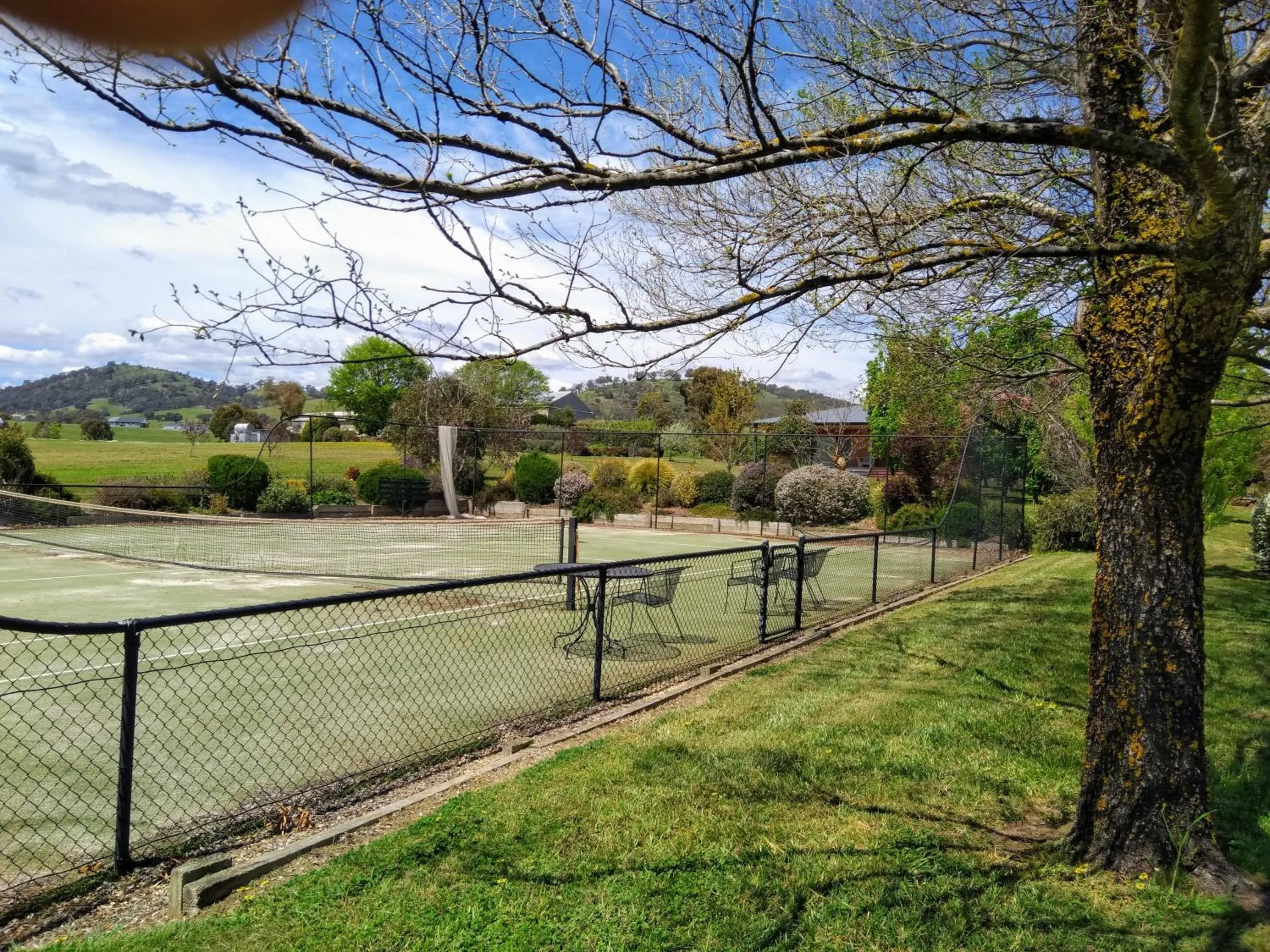 Activities in Altitude221