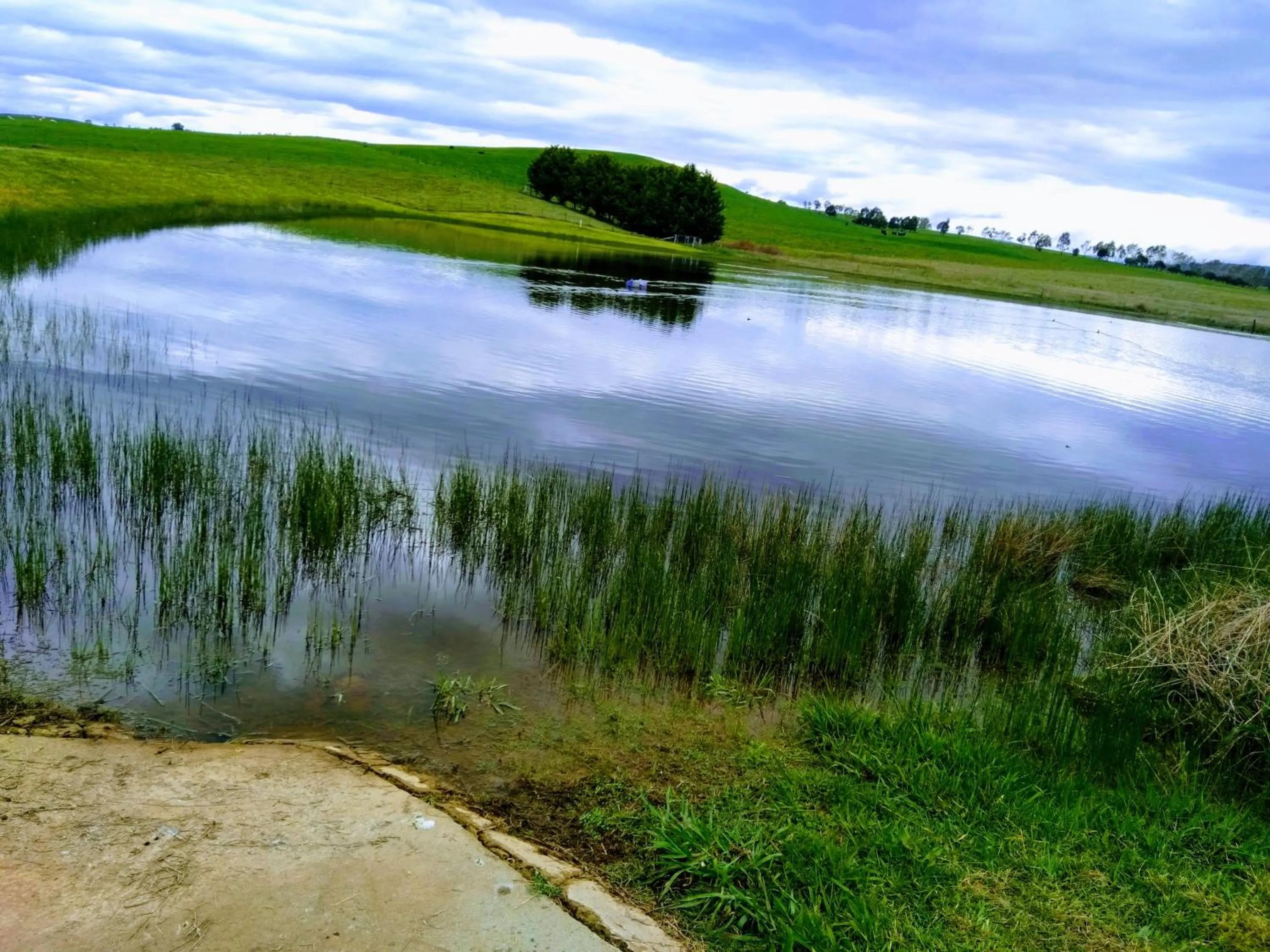 Natural landscape in Altitude221