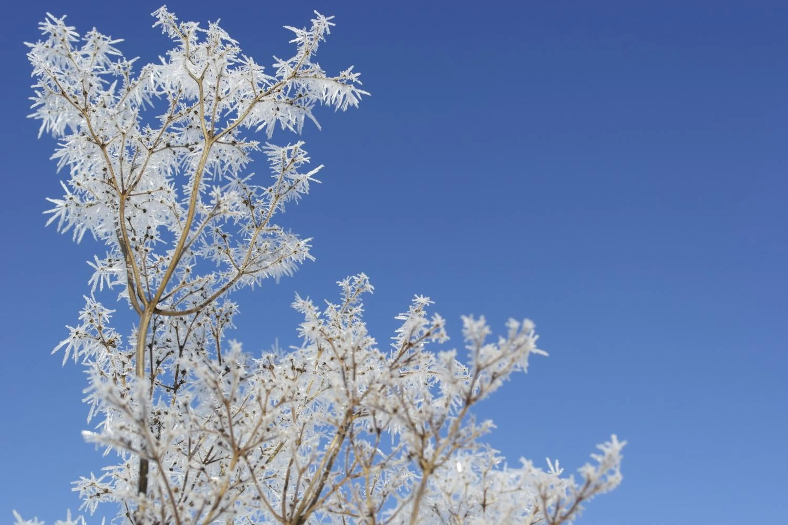 Natural landscape in Koto Hotel Pihtipudas