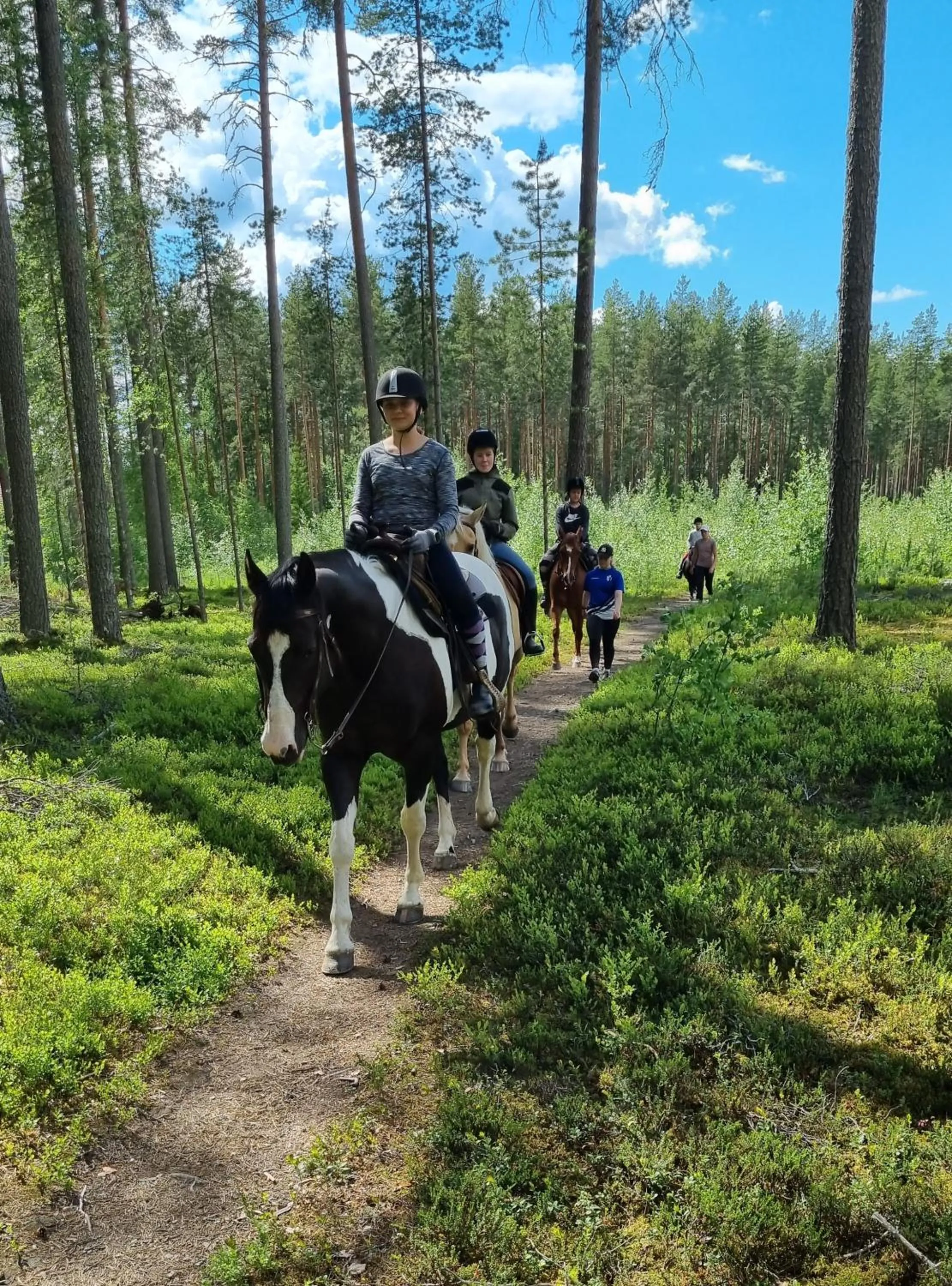 Natural landscape in Koto Hotel Pihtipudas