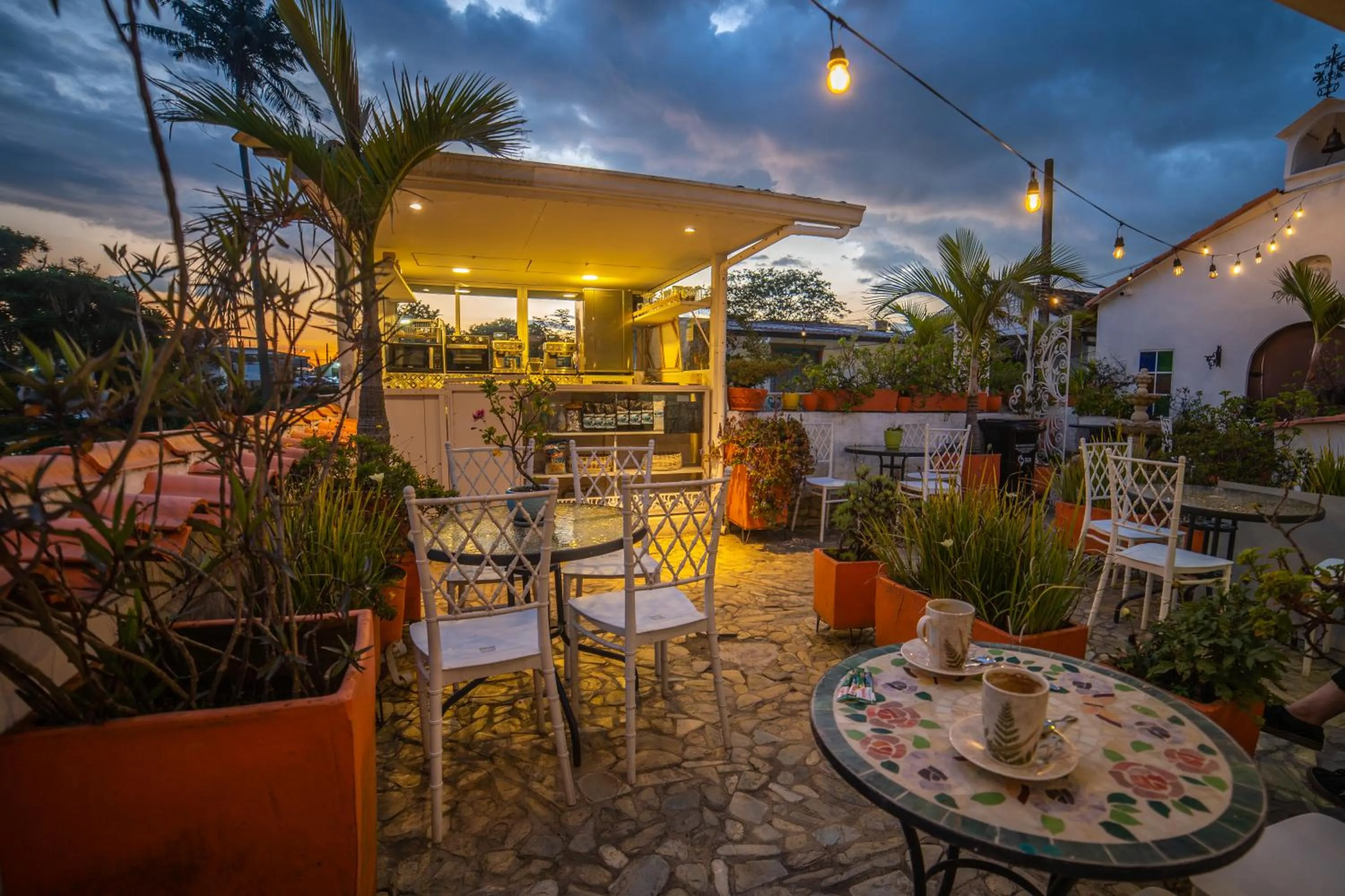Garden in Posada del Angel