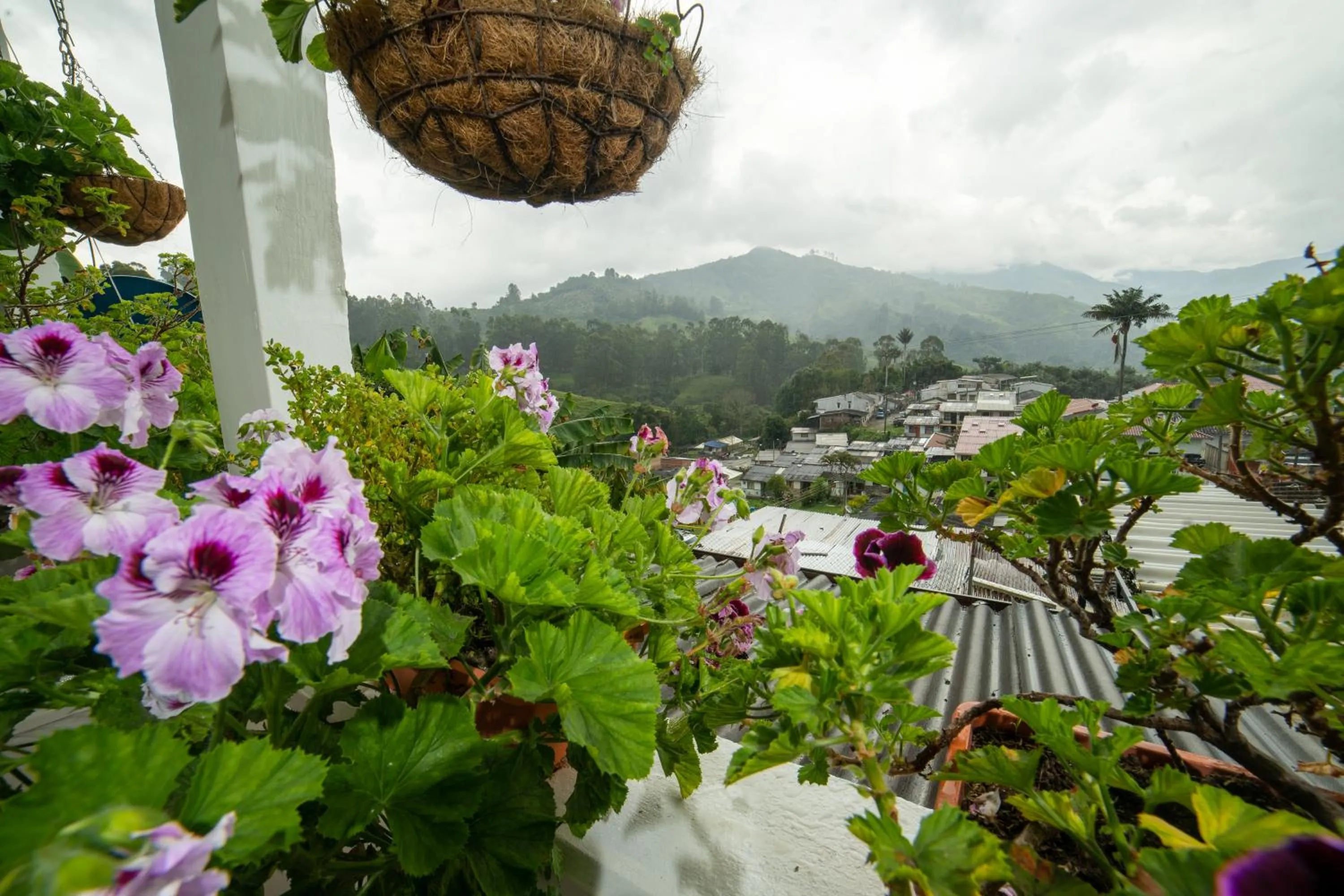 Day in Posada del Angel