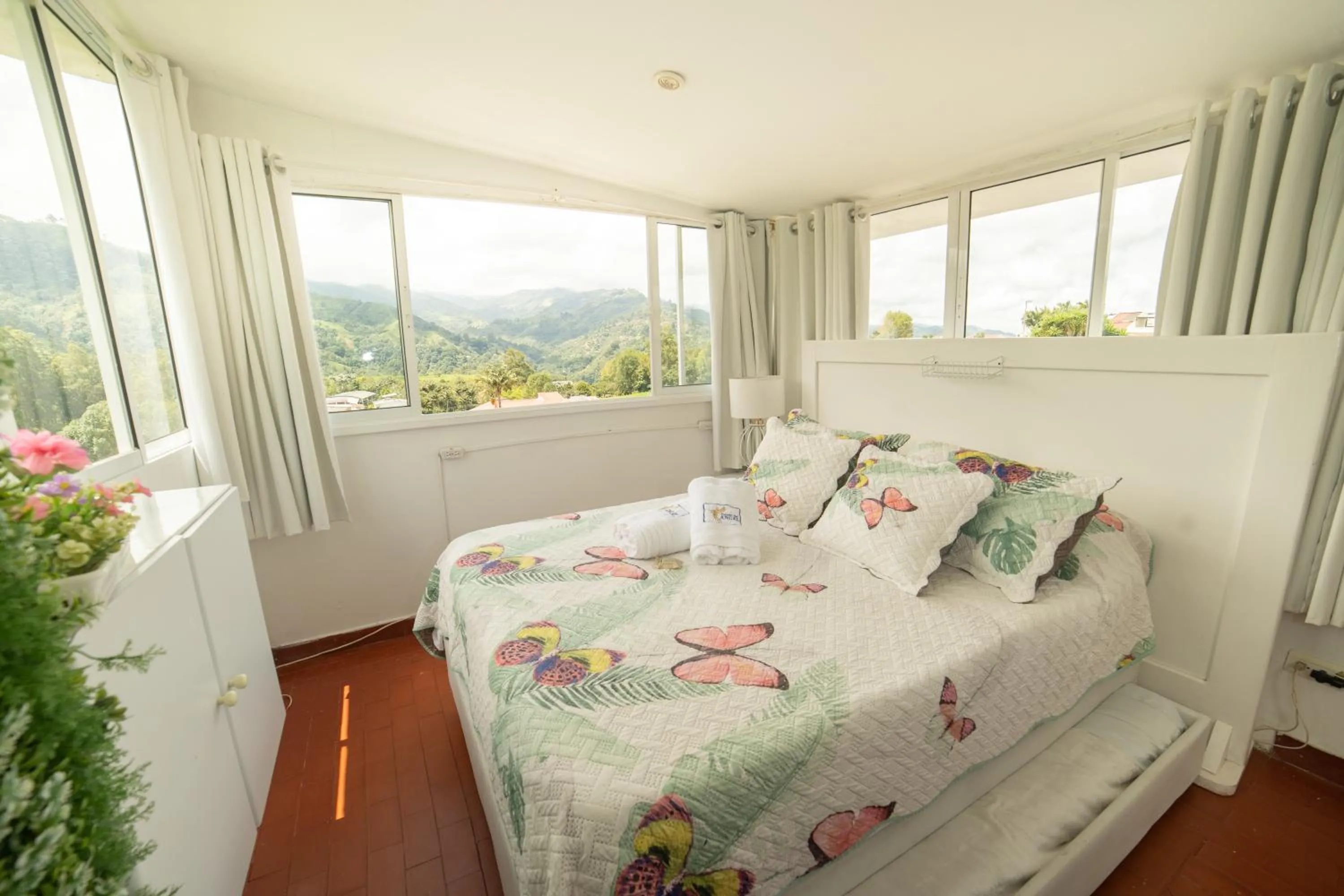 Spring, Bed in Posada del Angel