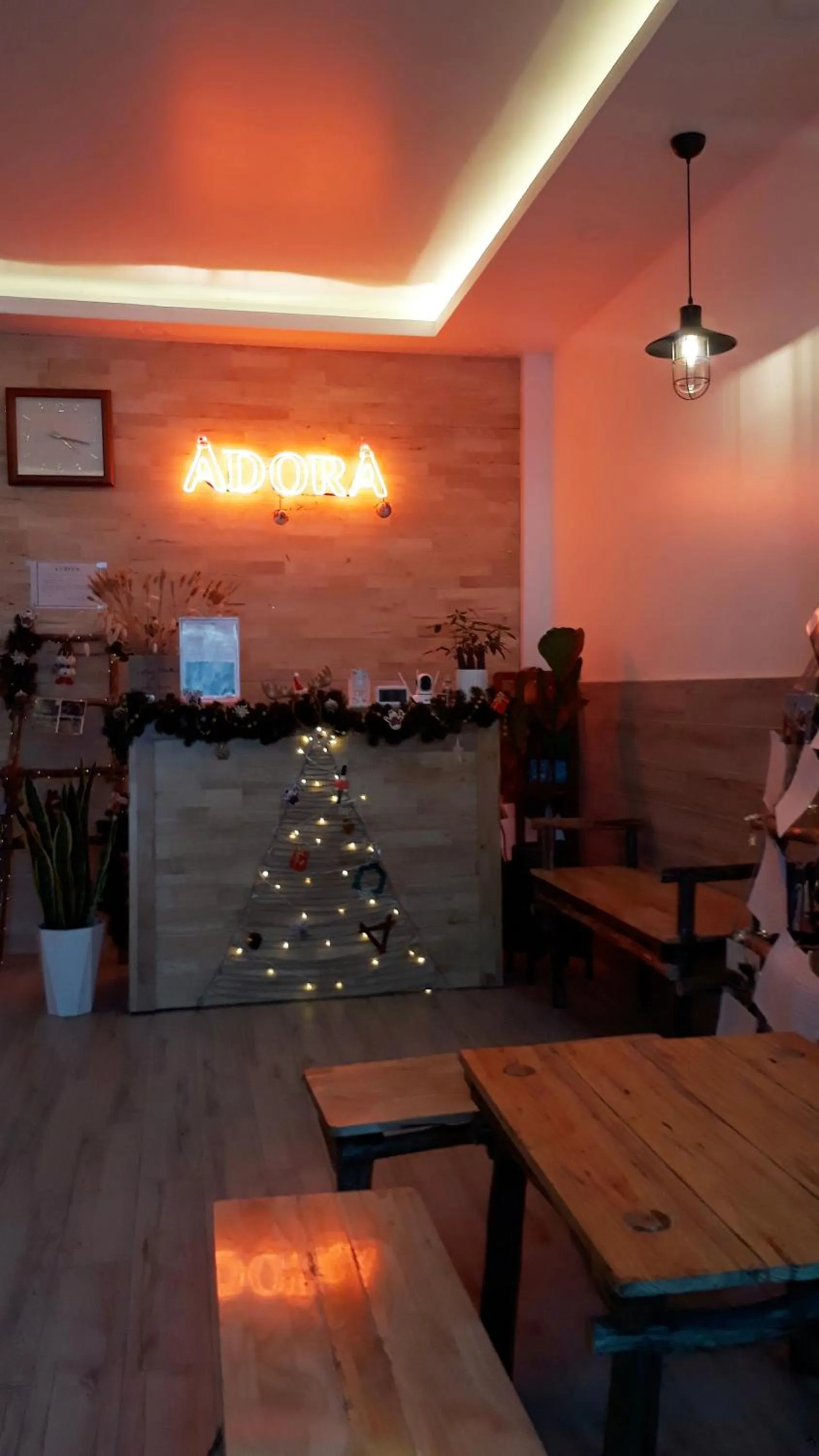 Lobby or reception in Adora Central Park Hostel