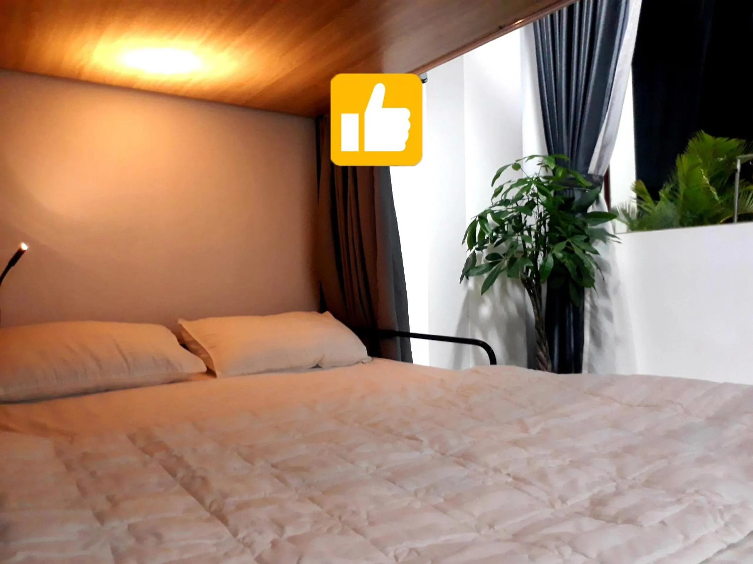 bunk bed, Bed in Adora Central Park Hostel