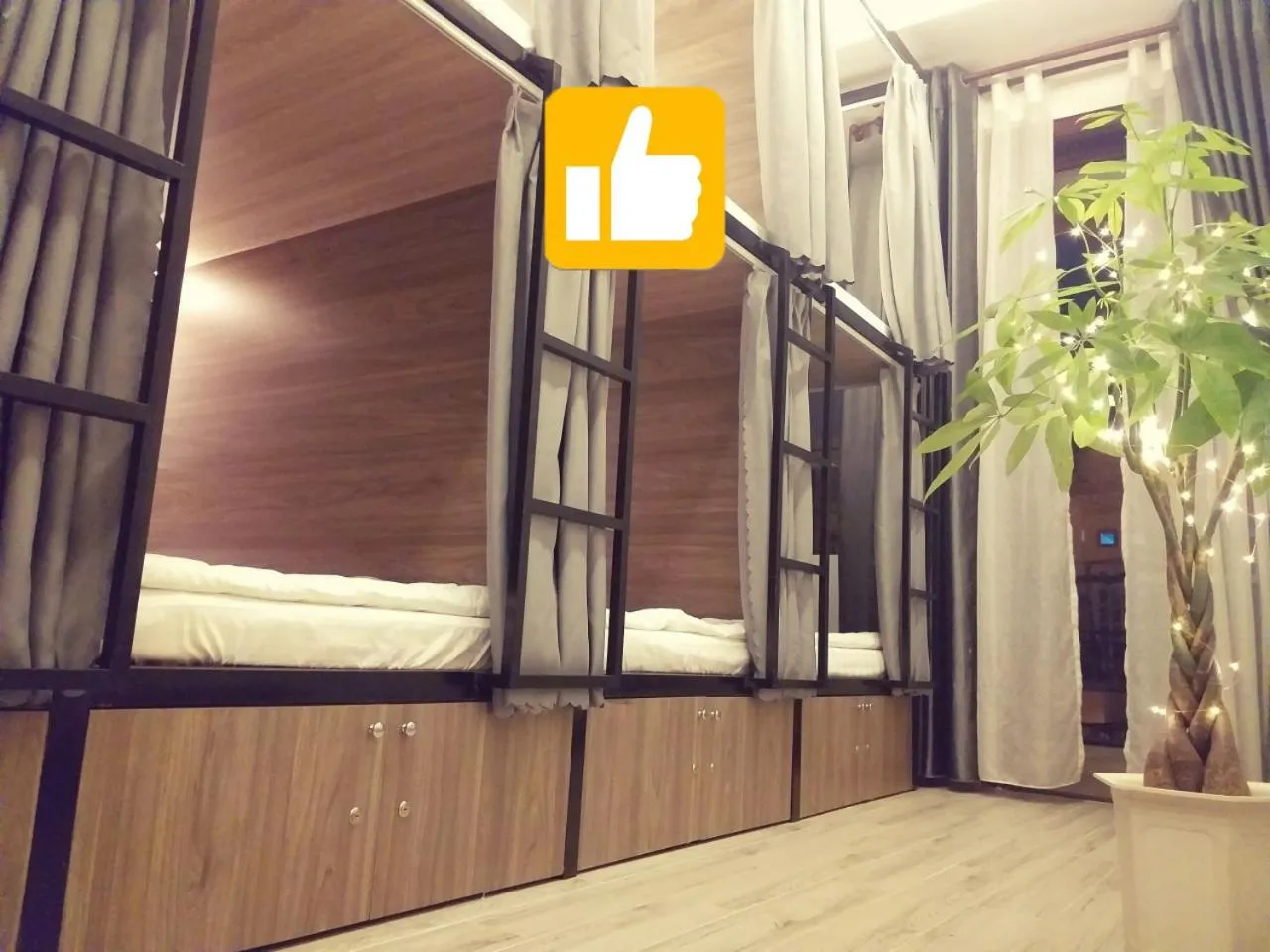 bunk bed, Bed in Adora Central Park Hostel