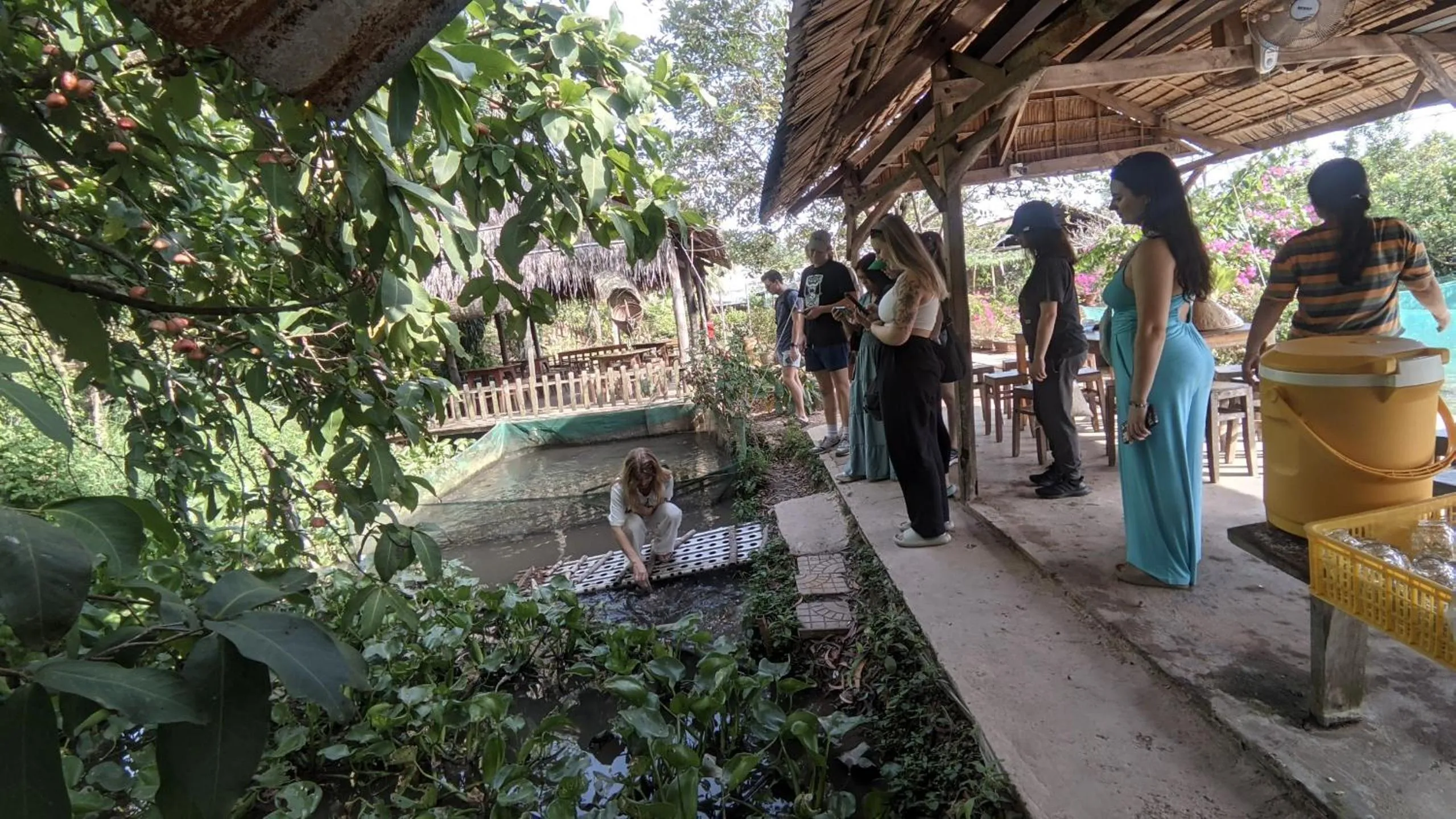 Activities in Adora Central Park Hostel