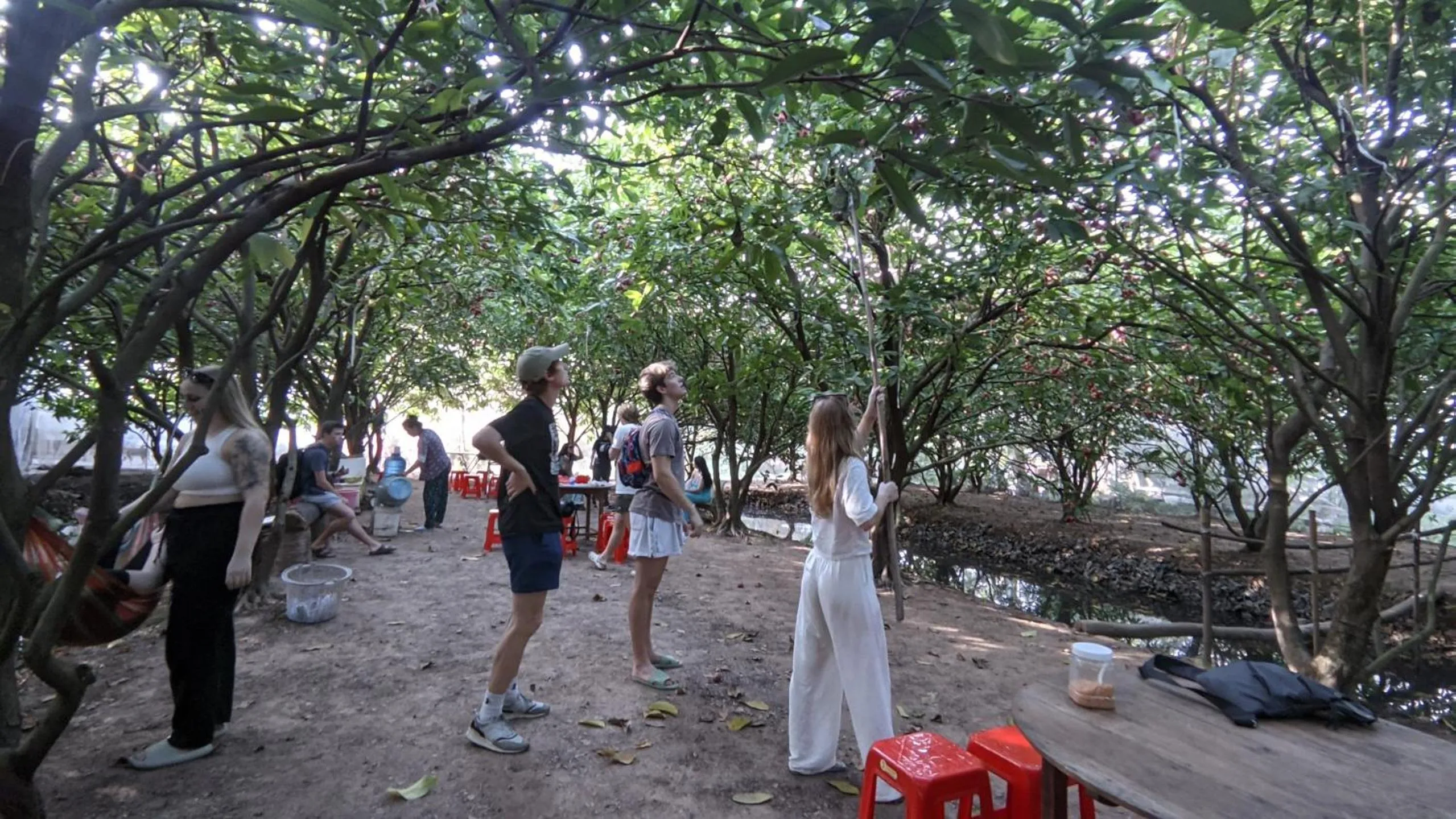 Activities in Adora Central Park Hostel