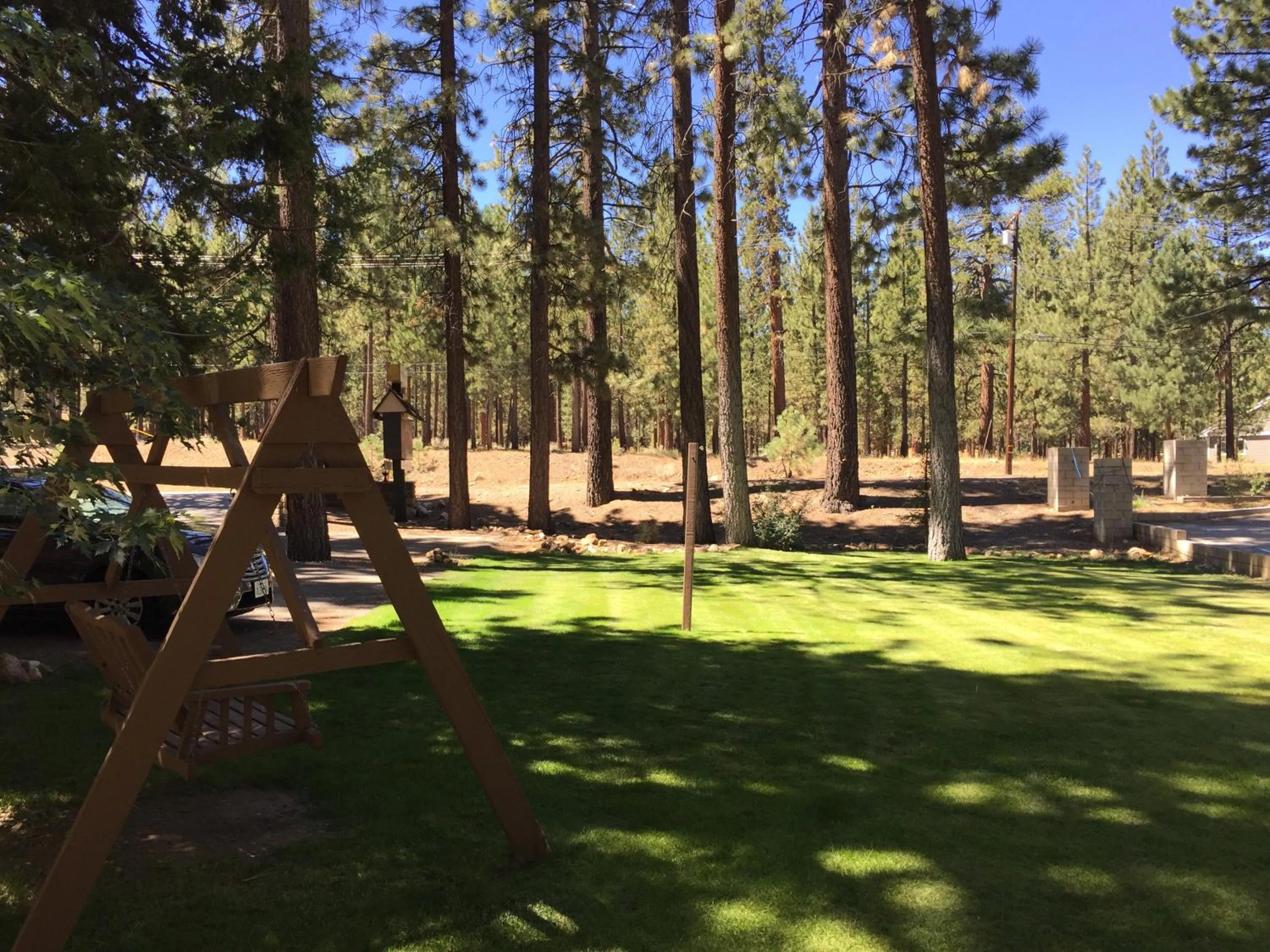 Garden in Goldmine Lodge