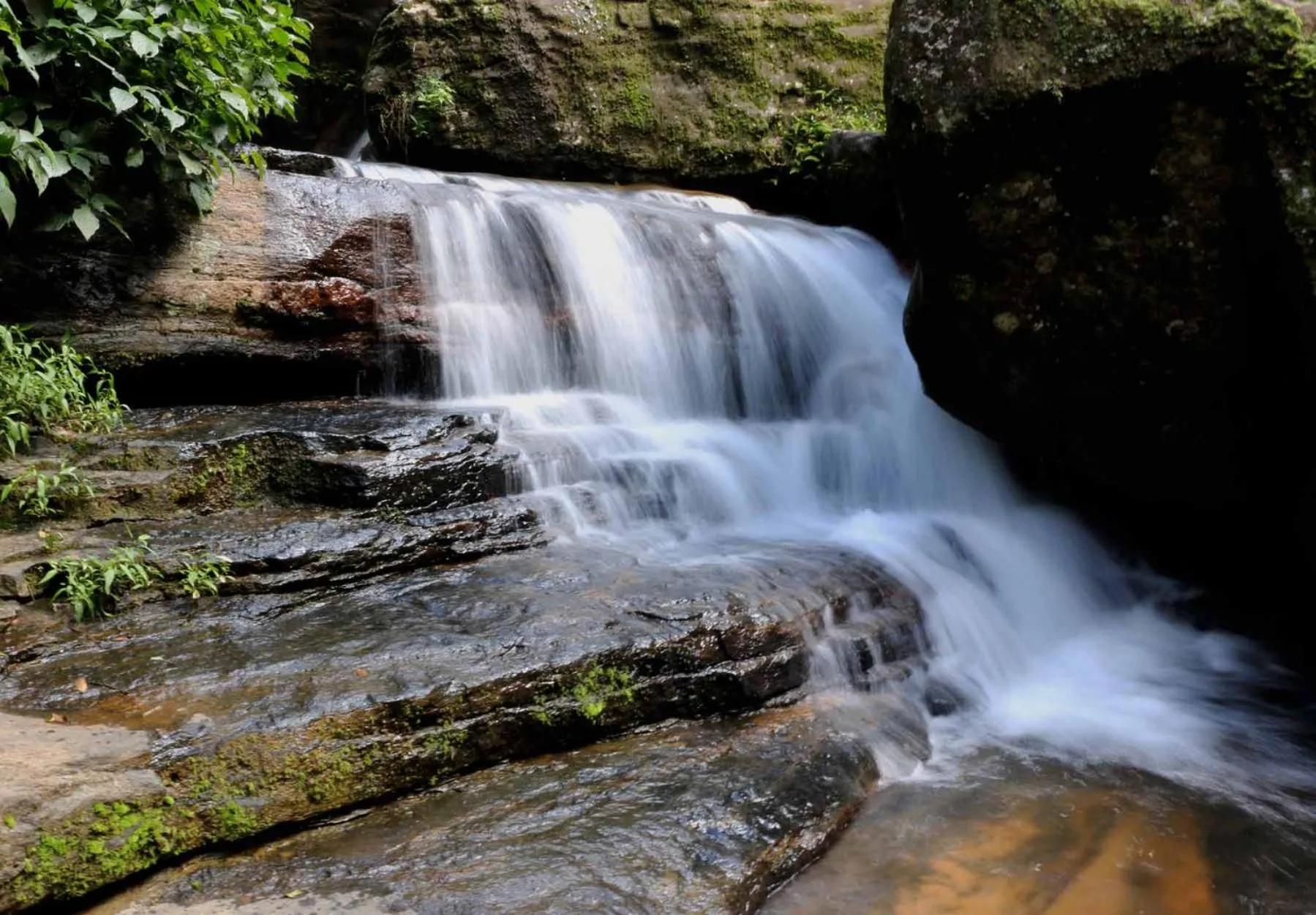 Natural landscape in Delphin Hotel