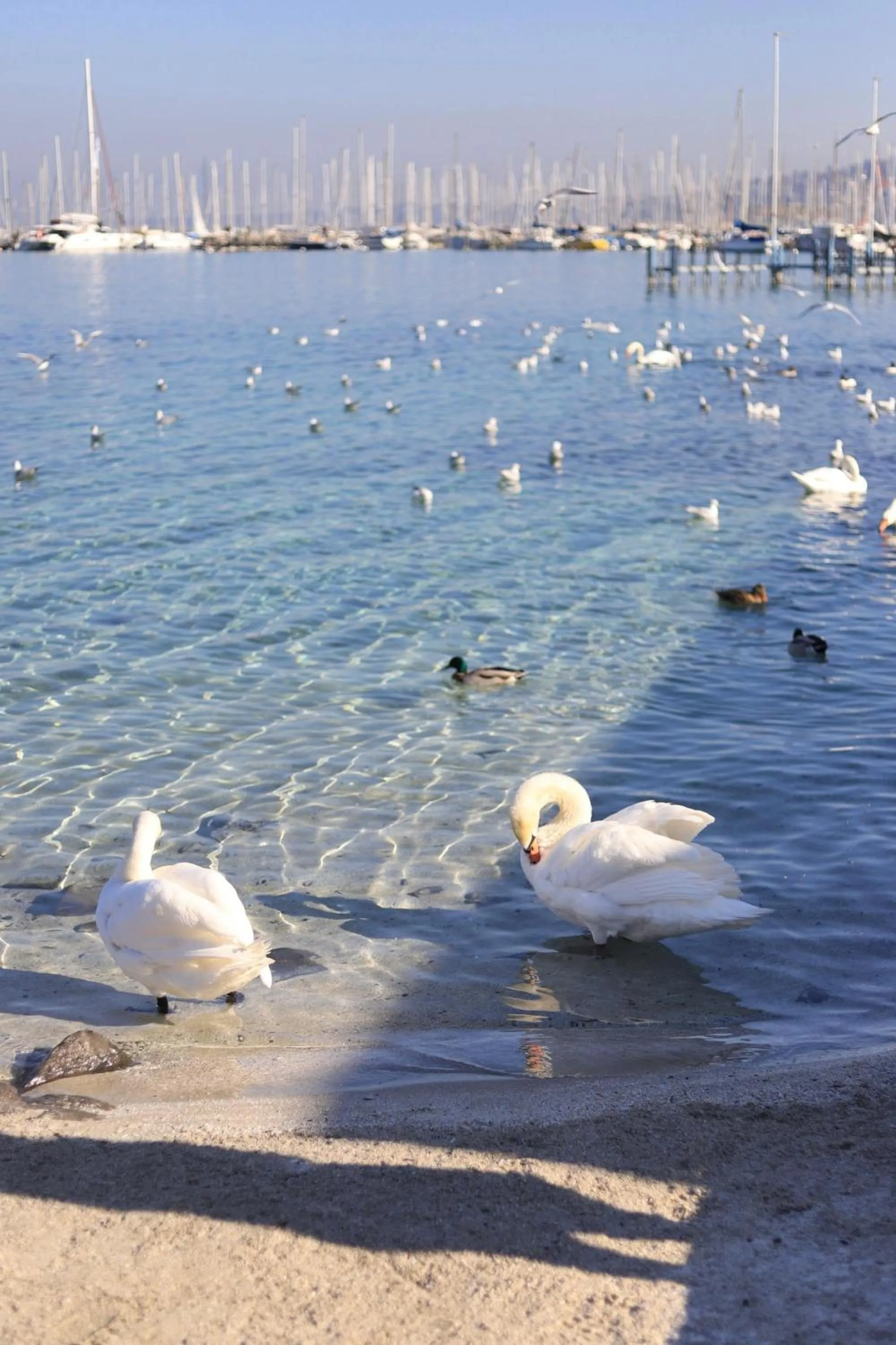 Nearby landmark in Mercure Geneva Airport