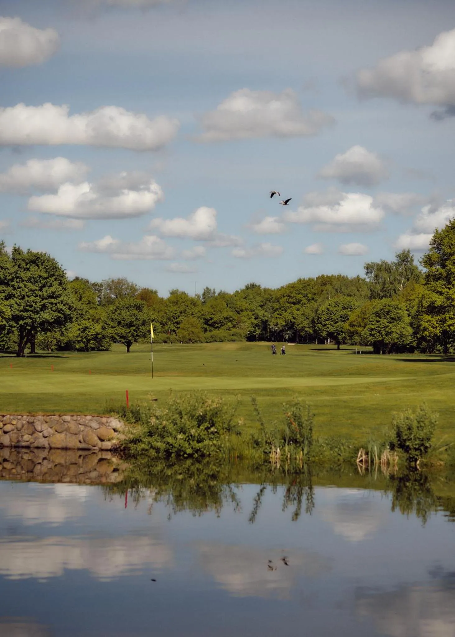 Natural landscape in Aparthotel Treudelberg Hamburg