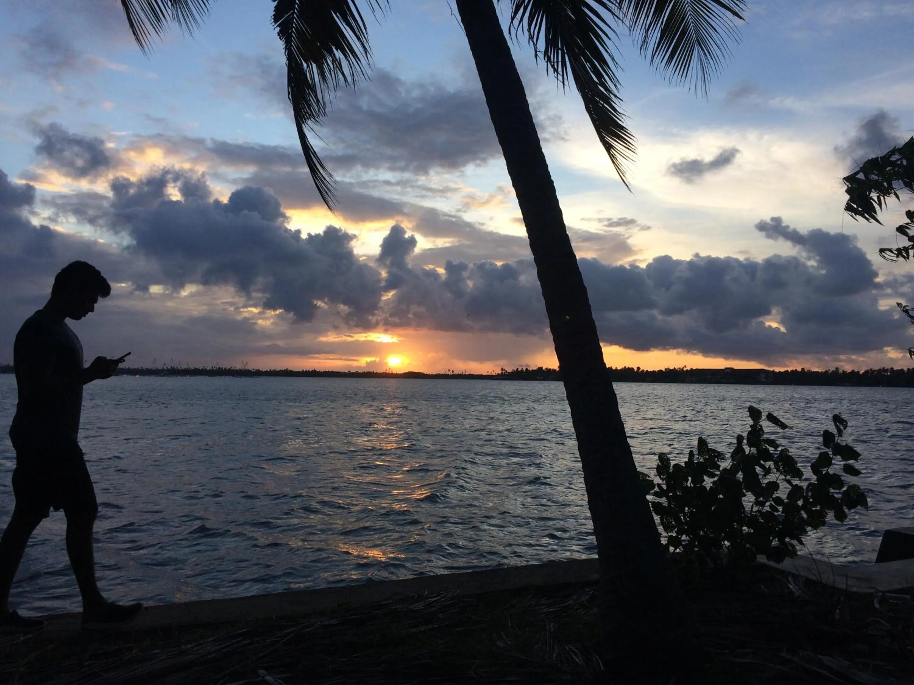 Lake view in Gramam Homestay, Cochin