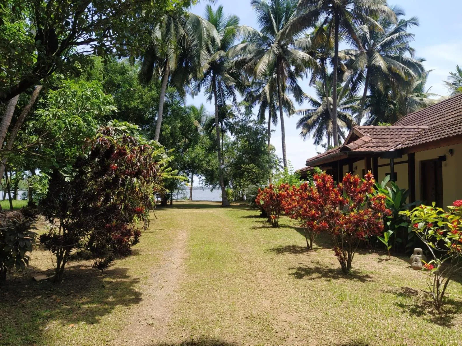 Natural landscape in Gramam Homestay, Cochin
