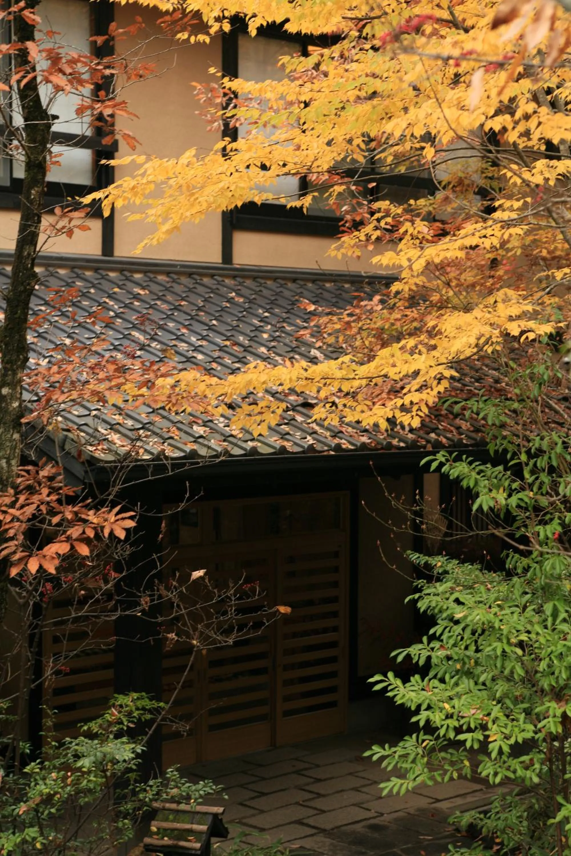 Facade/entrance in Ryokan Wakaba