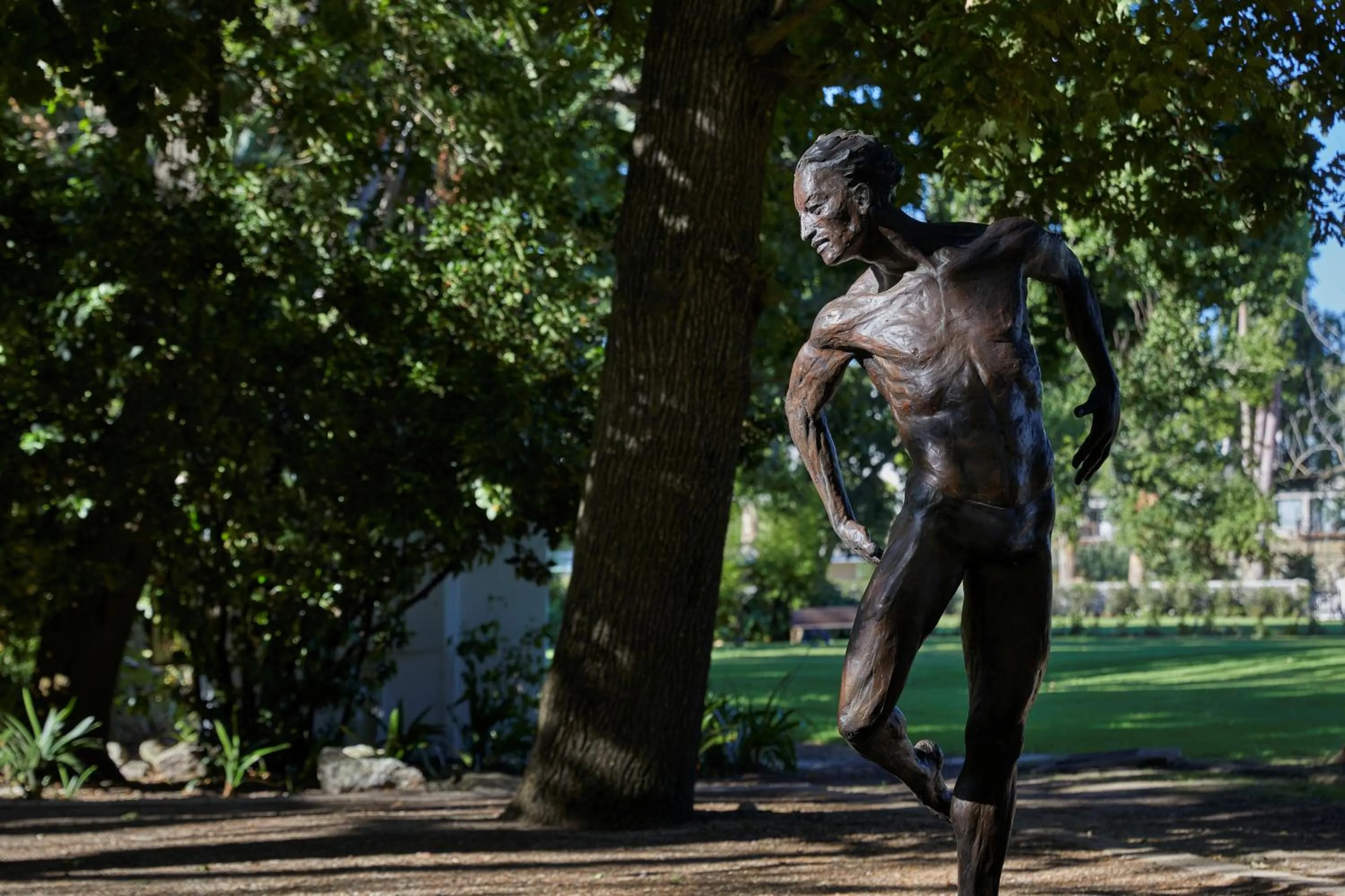 Blaauwklippen Manor by NEWMARK