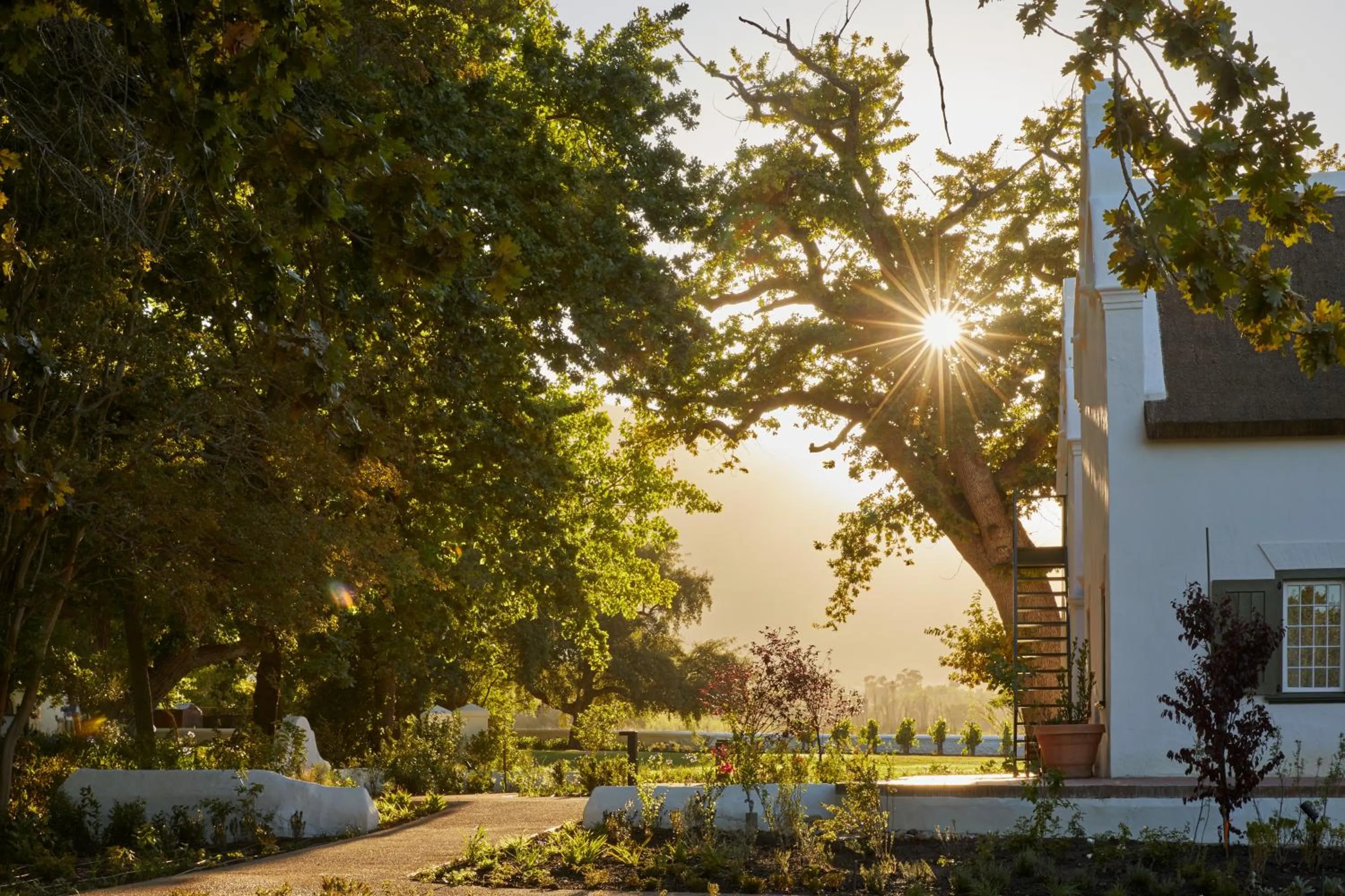 Blaauwklippen Manor by NEWMARK