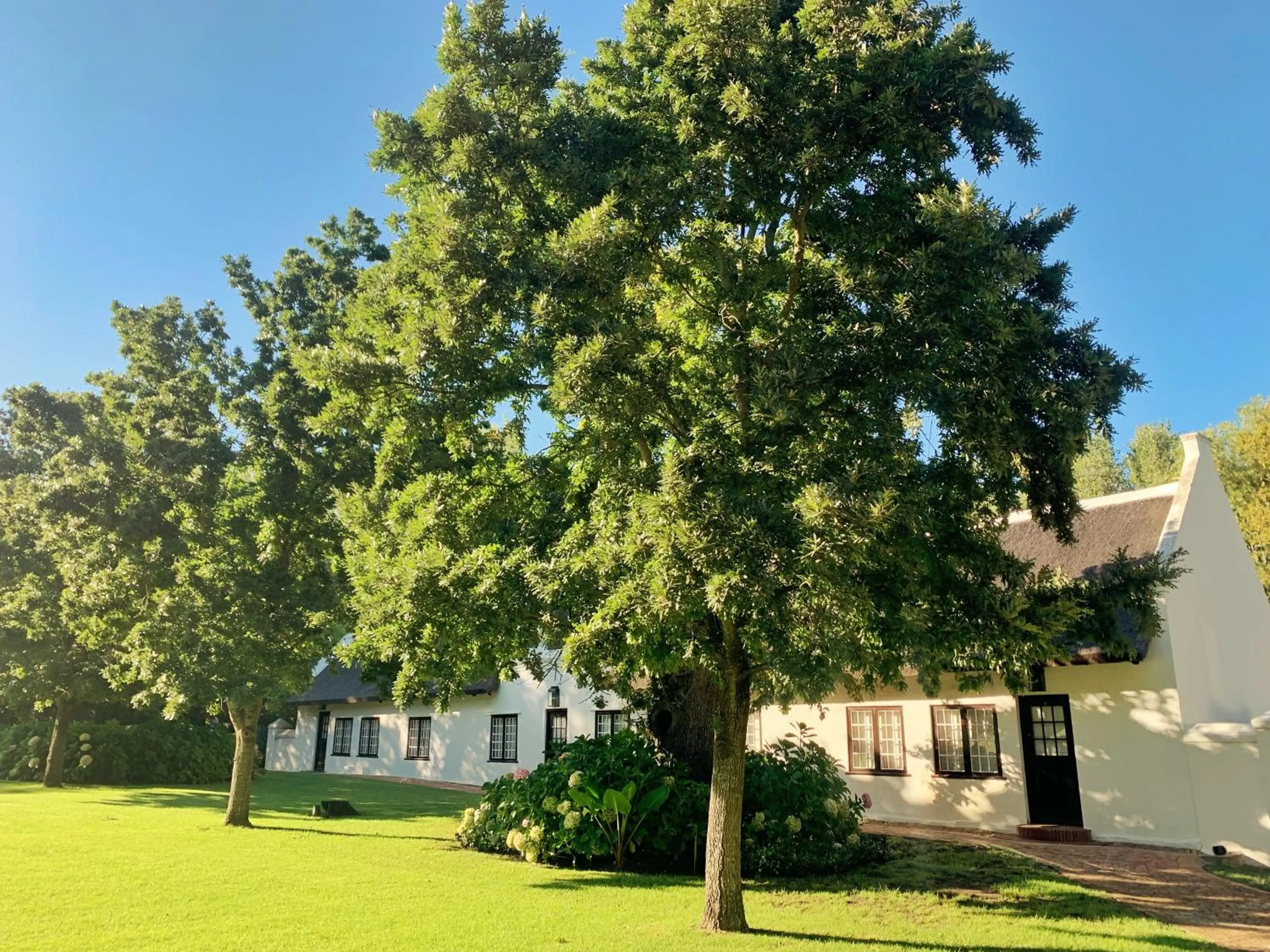 Property building in Blaauwklippen Manor by NEWMARK
