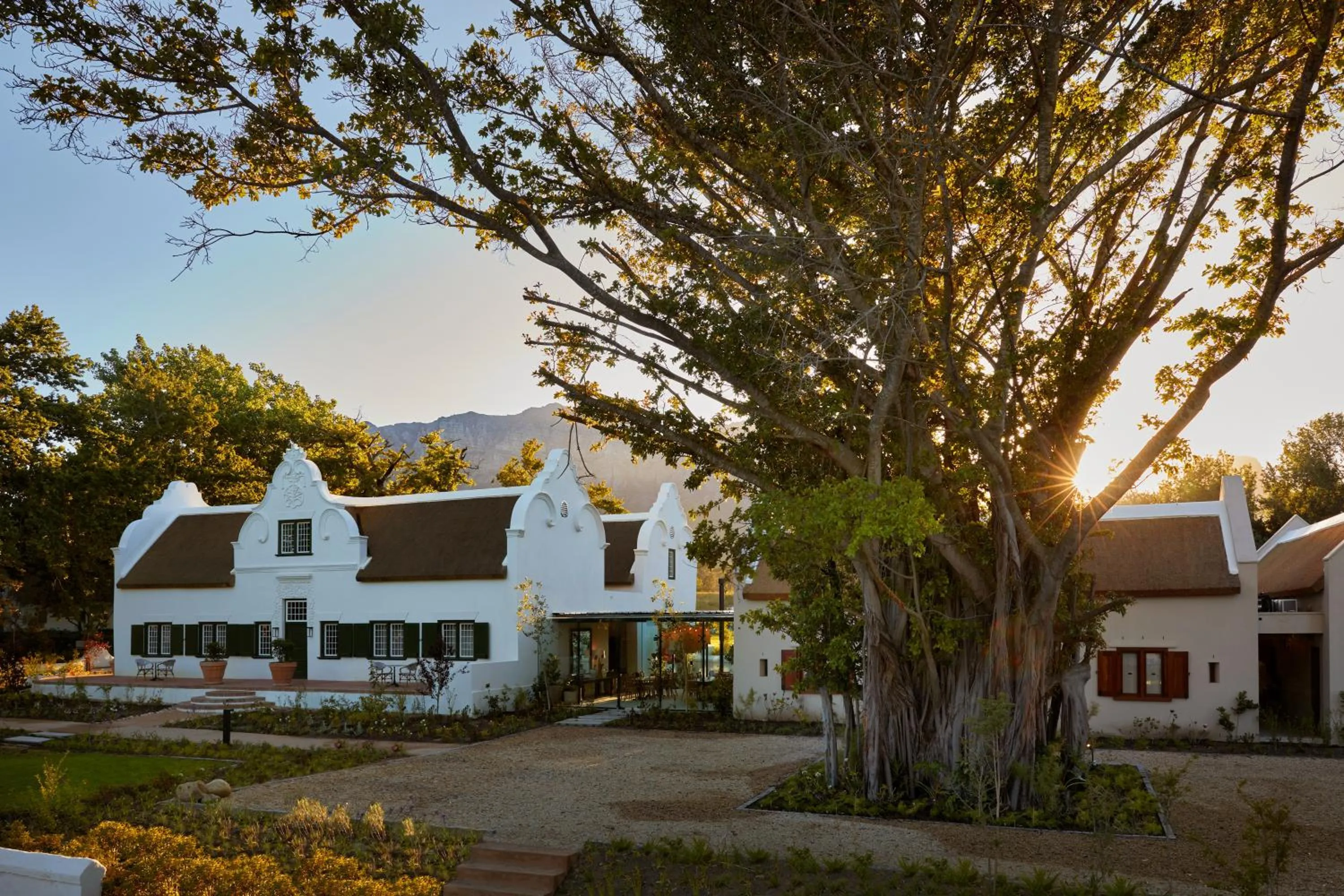 Blaauwklippen Manor by NEWMARK