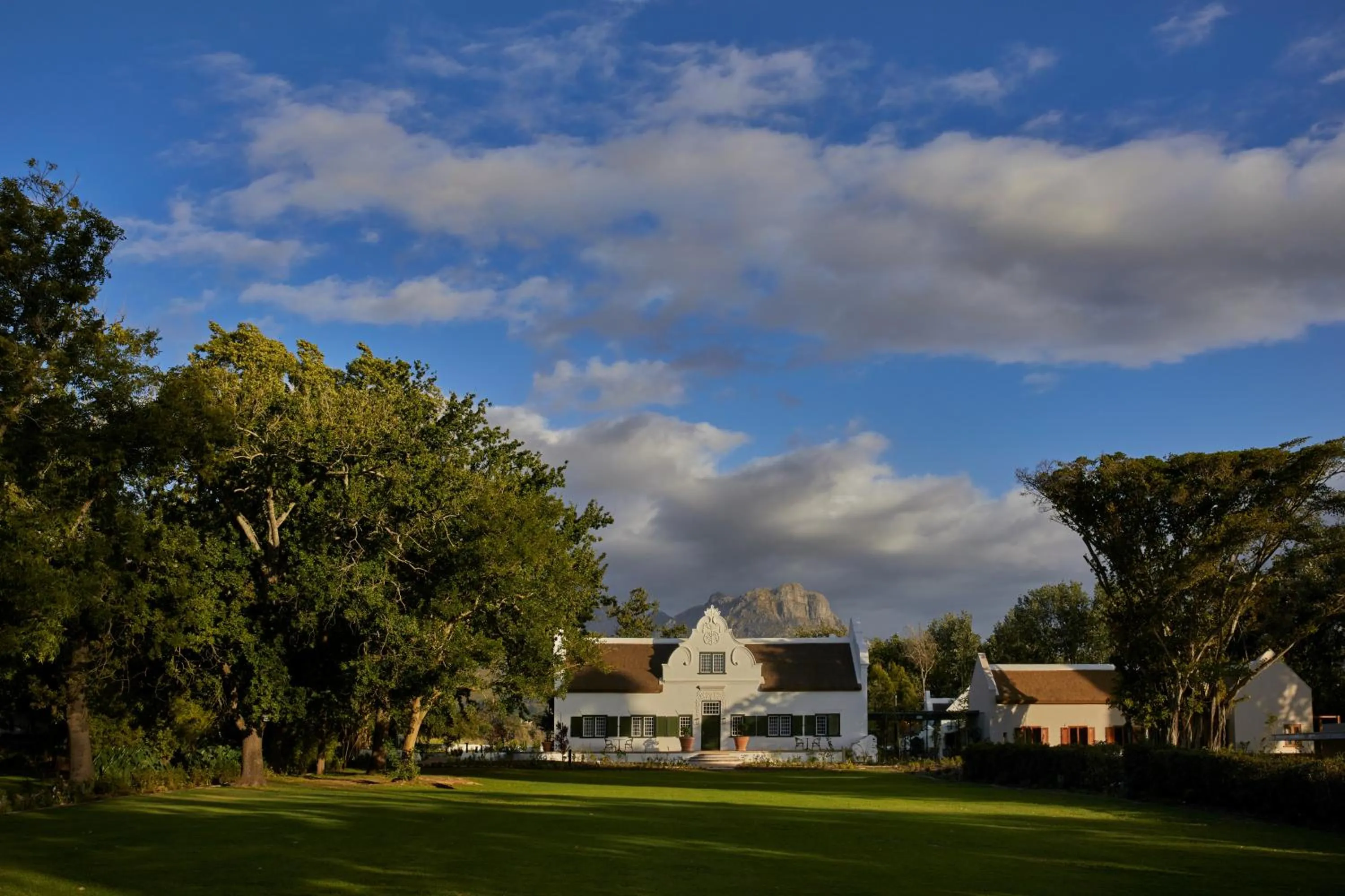 Blaauwklippen Manor by NEWMARK