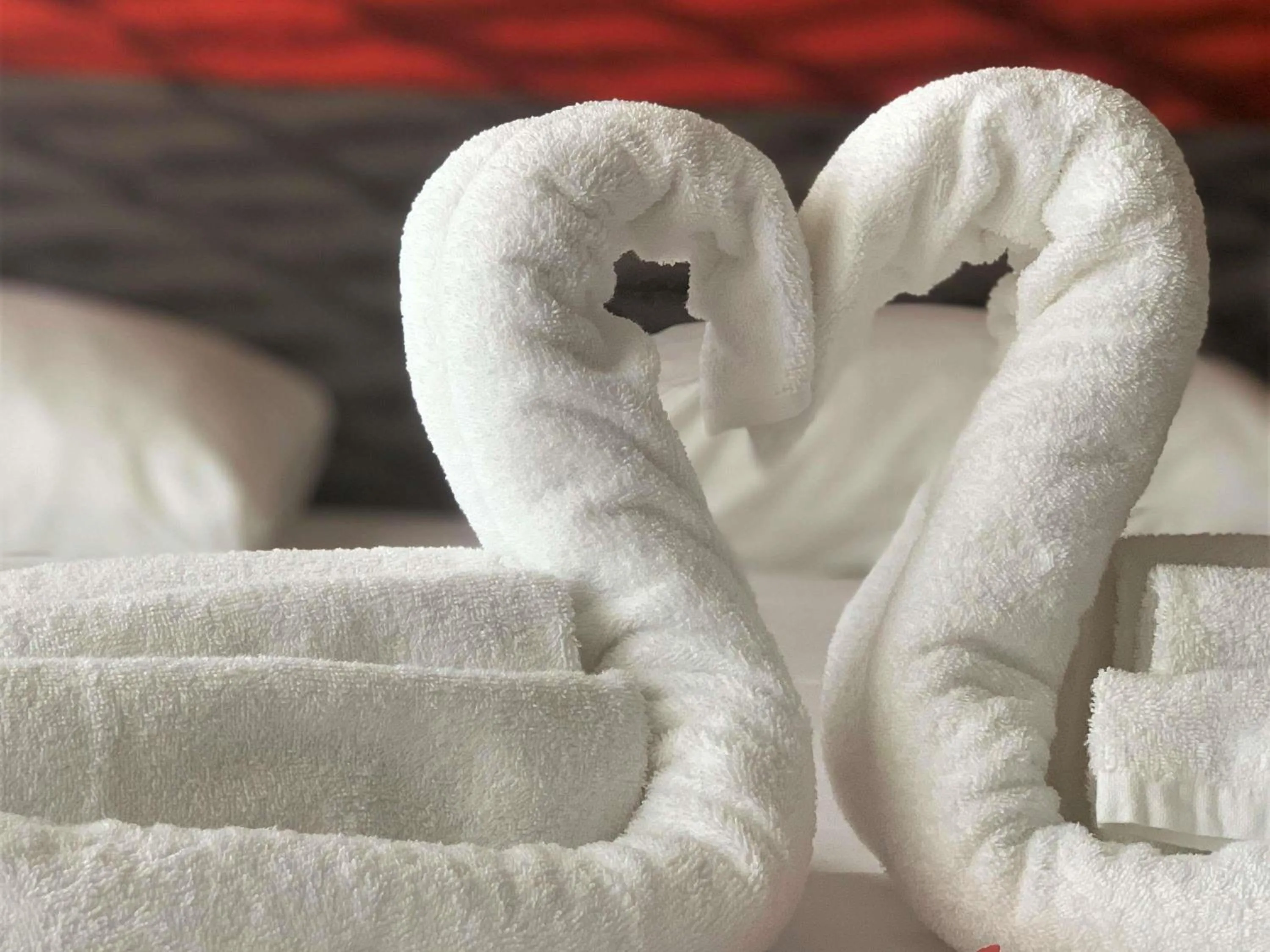 Other, Bed in ibis Cannes Plage La Bocca