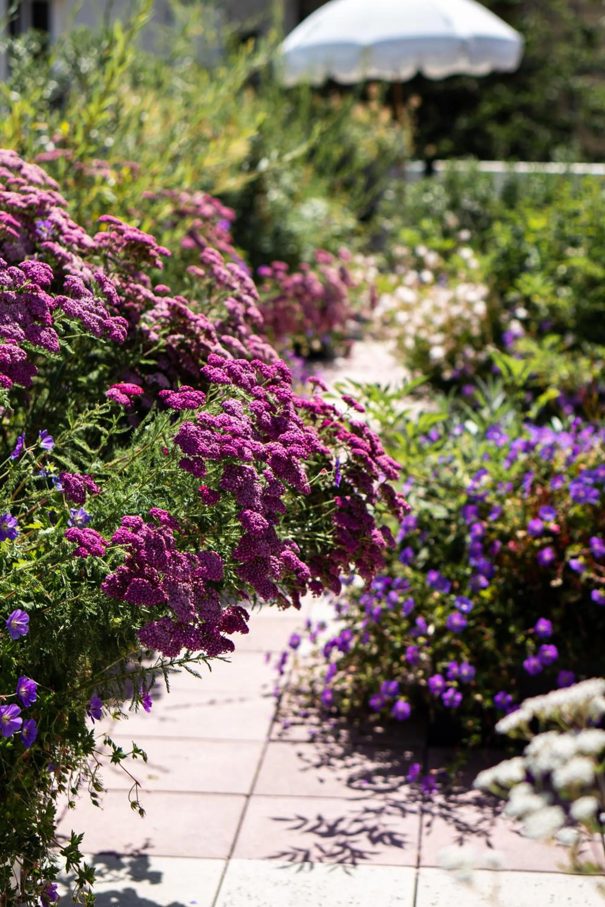 Patio in Hôtel Rosalie