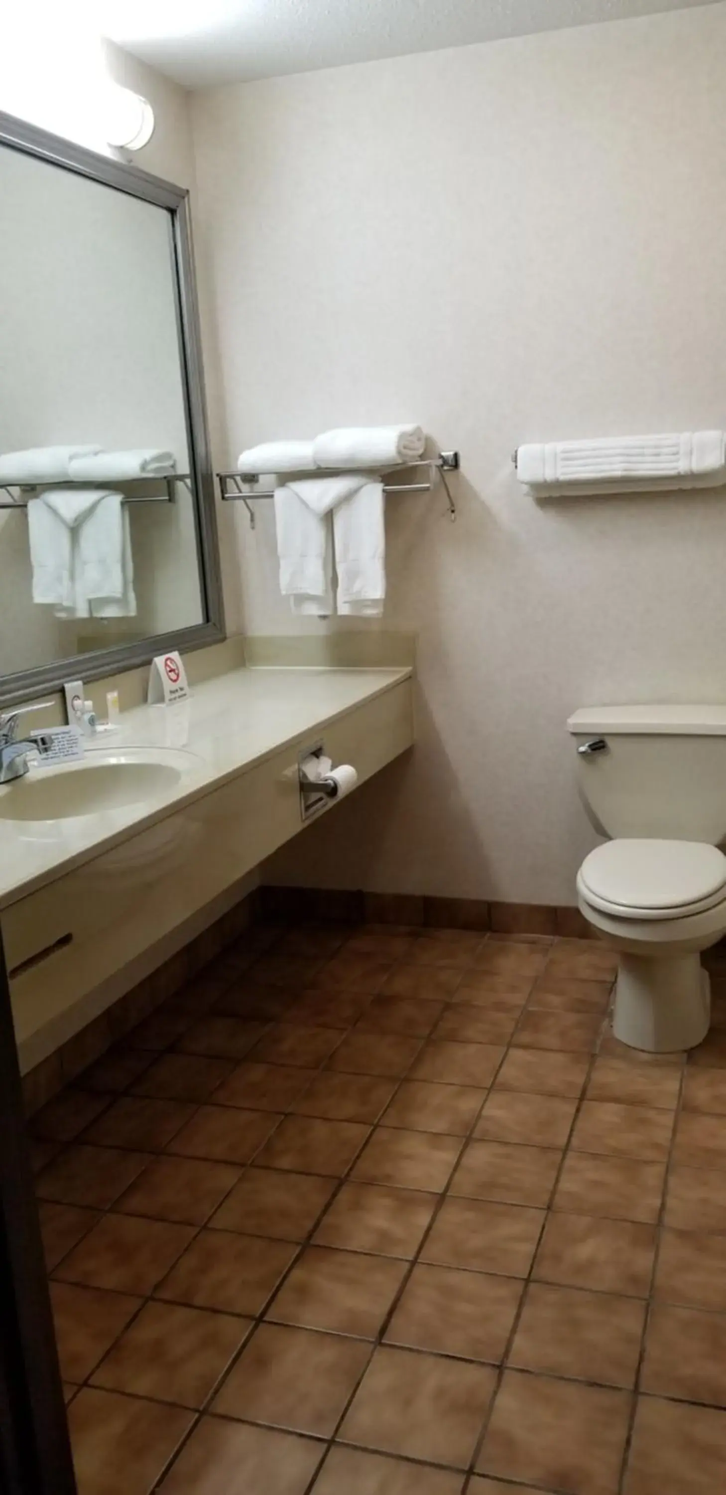 Toilet, Bathroom in FairBridge Inn & Suites Batavia-Darien Amusement Park