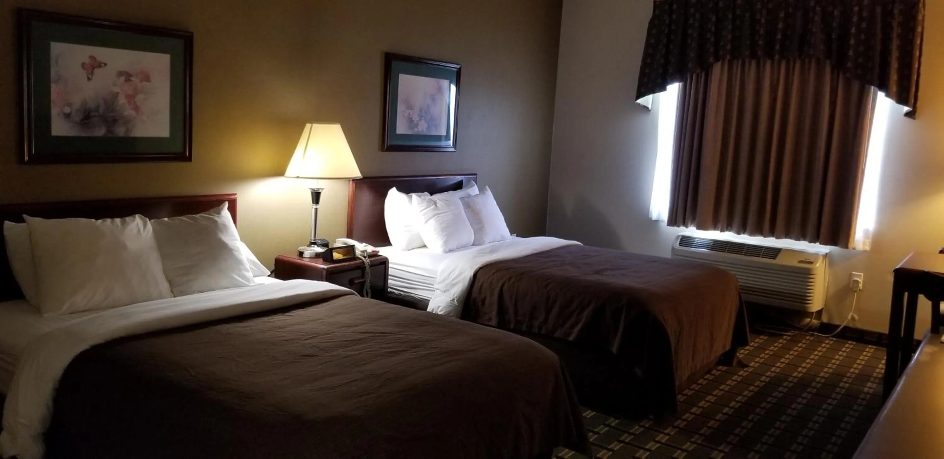 Deluxe Double Room with Two Double Beds - Non-Smoking in FairBridge Inn & Suites Batavia-Darien Amusement Park
