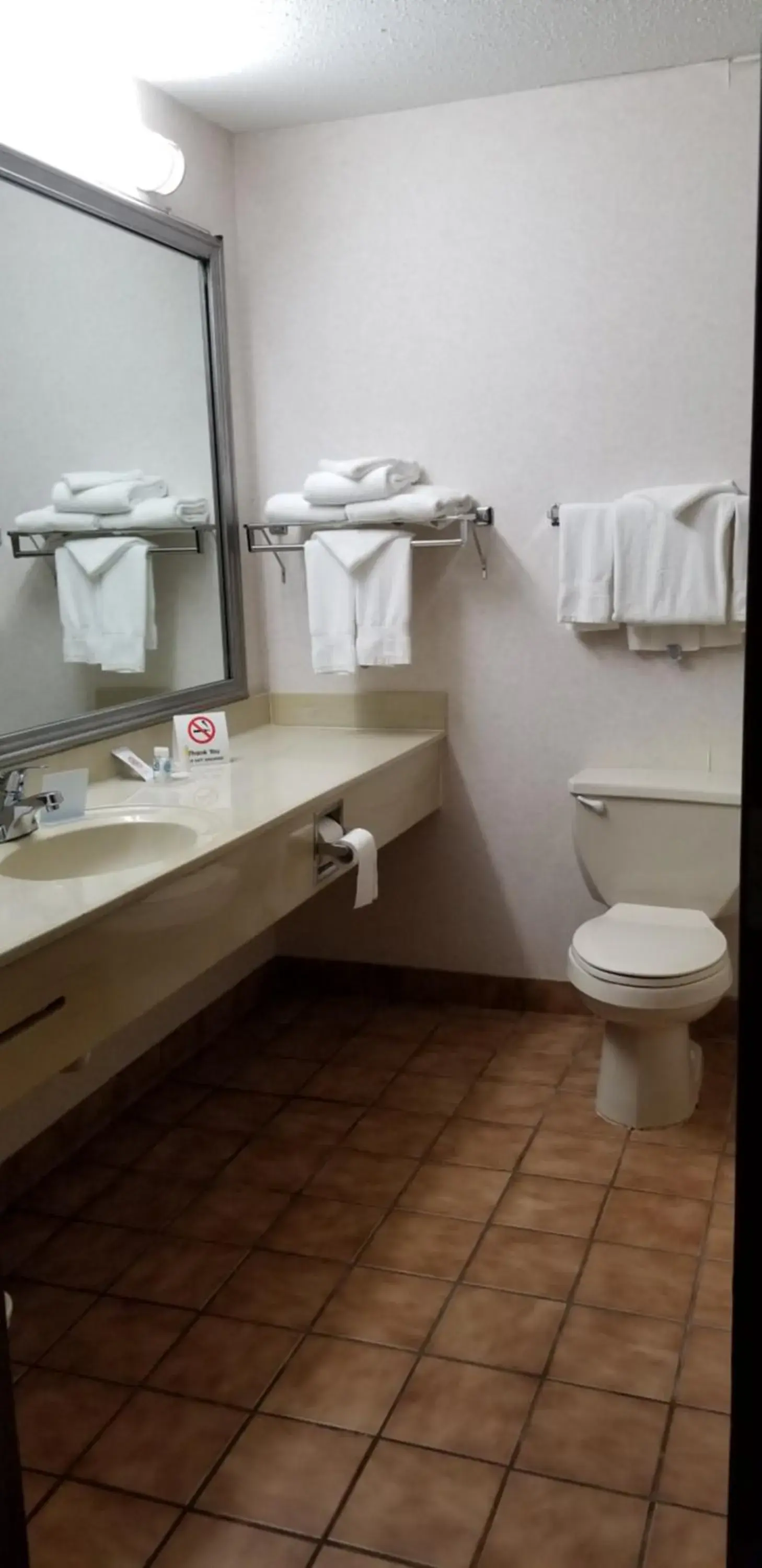 Toilet, Bathroom in FairBridge Inn & Suites Batavia-Darien Amusement Park