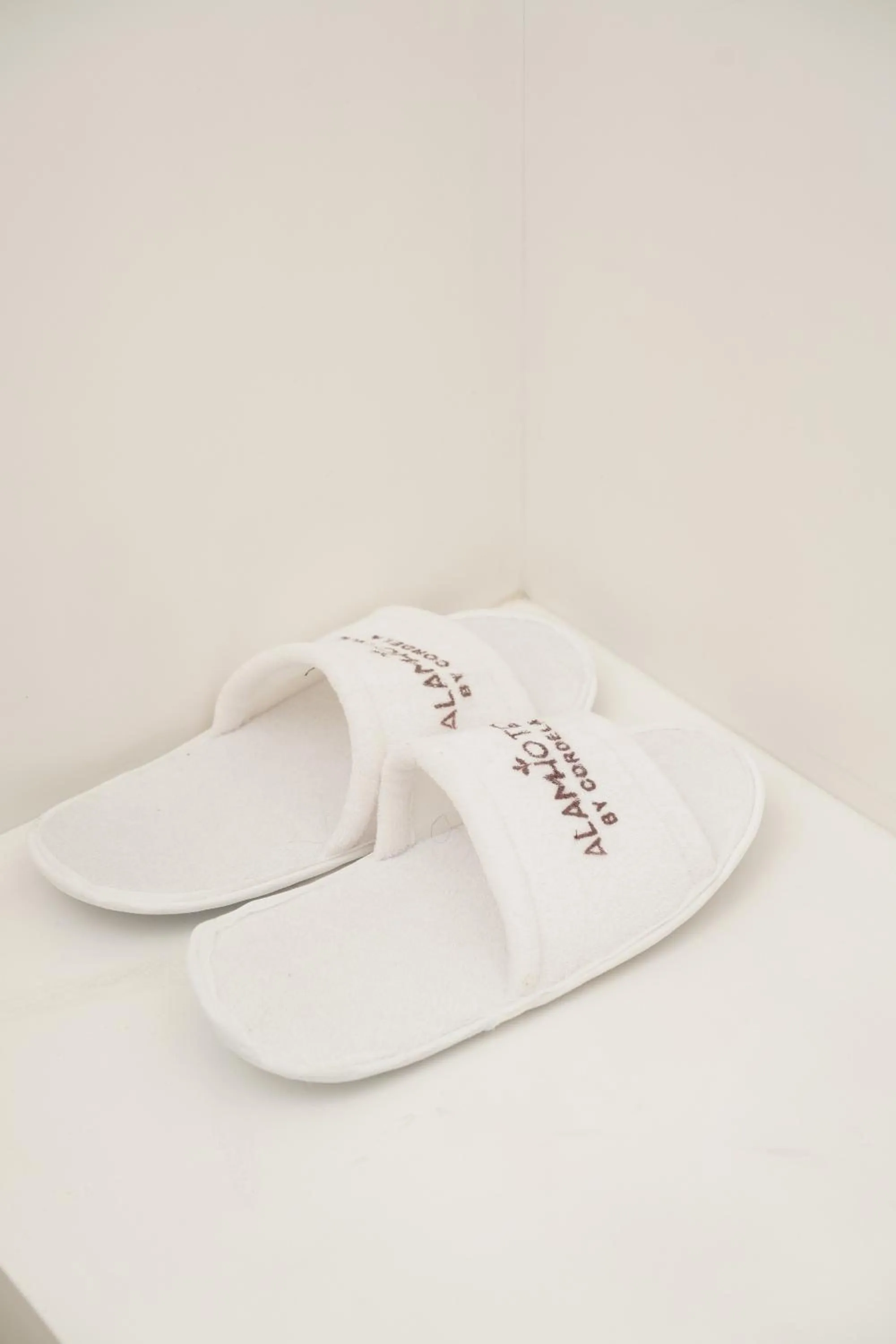 Area and facilities in Alam Hotel by Cordela