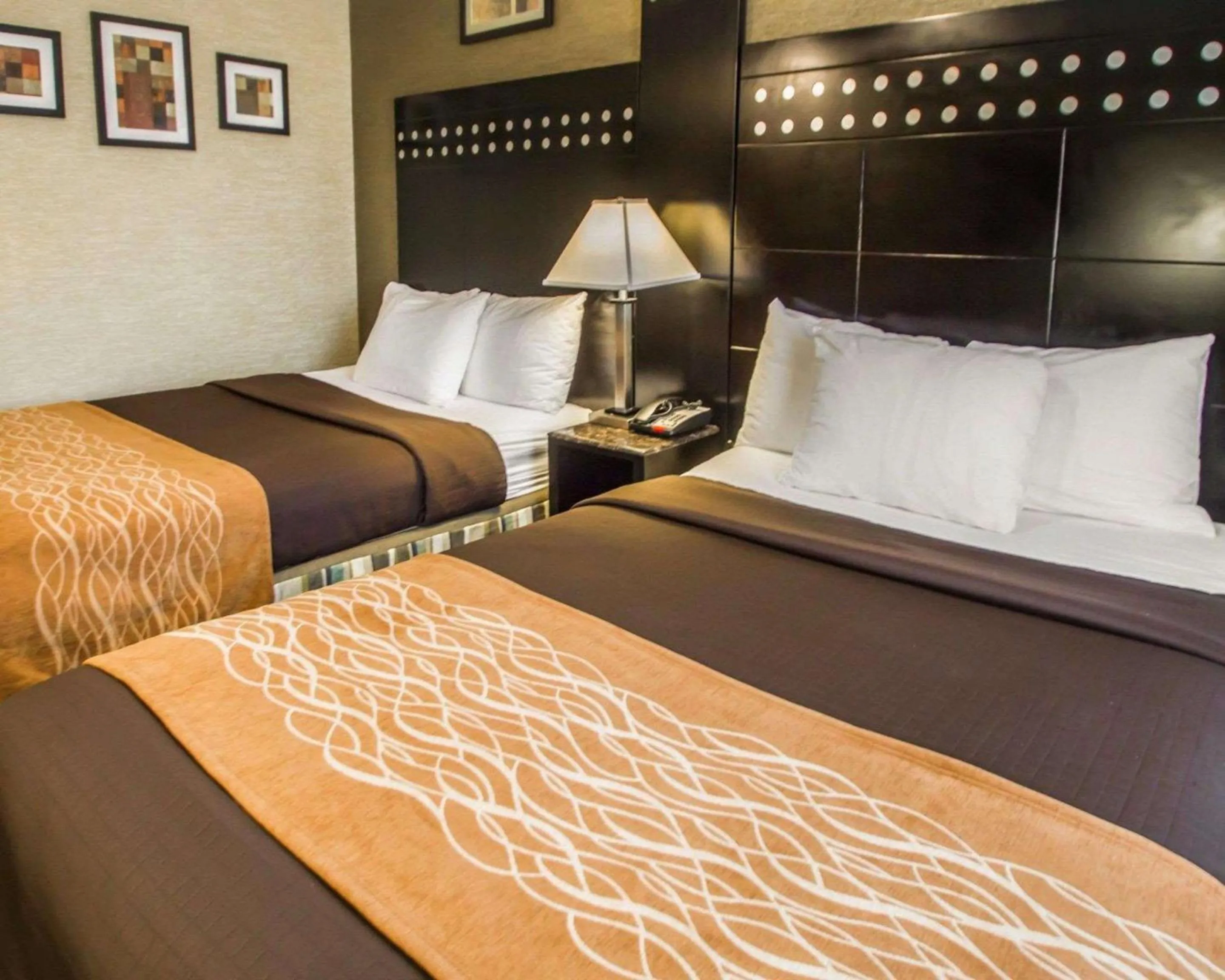 Photo of the whole room, Bed in Rodeway Inn Bronx Zoo