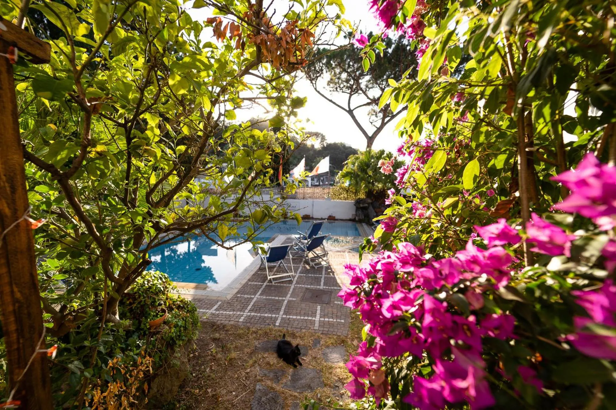 Garden in Villa Cinque Pini