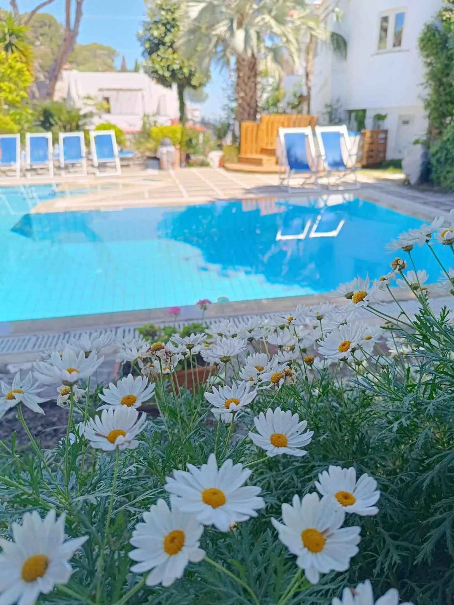 Swimming pool in Villa Cinque Pini