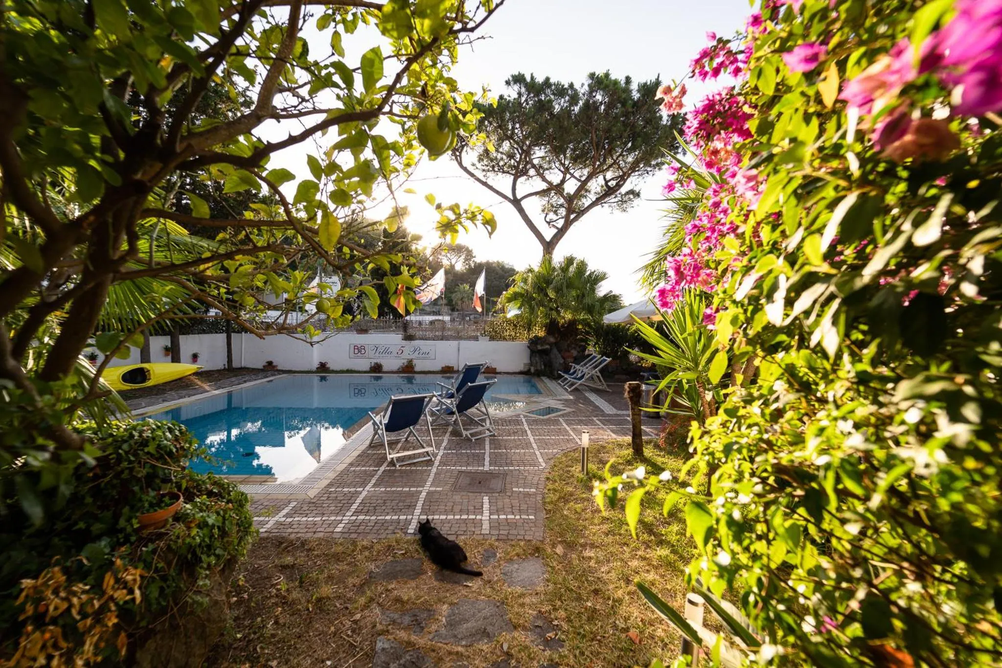 Pool view in Villa Cinque Pini