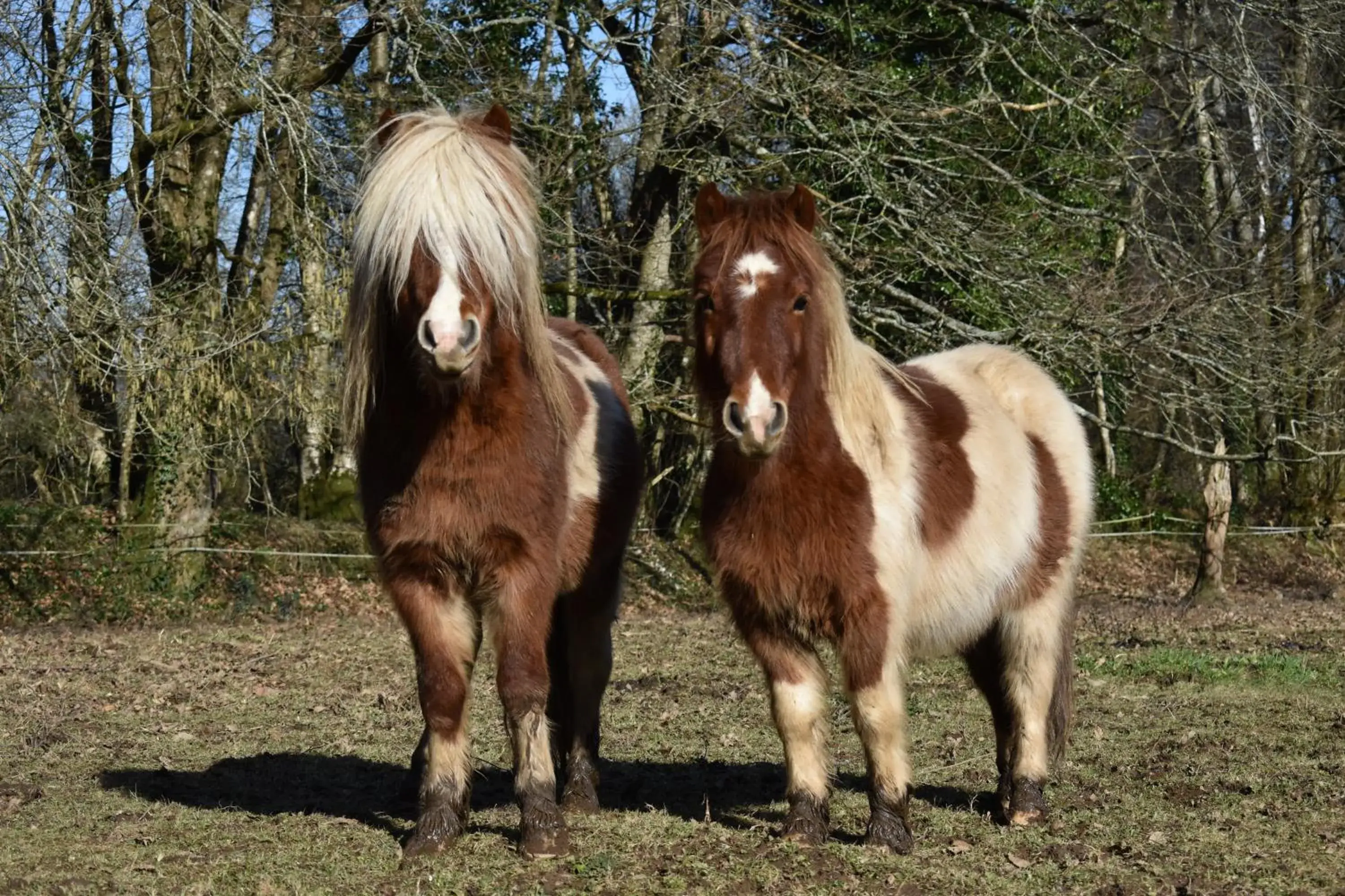 L'Ecrin de Pradou Glaz L'Ecrin de Pradou Glaz