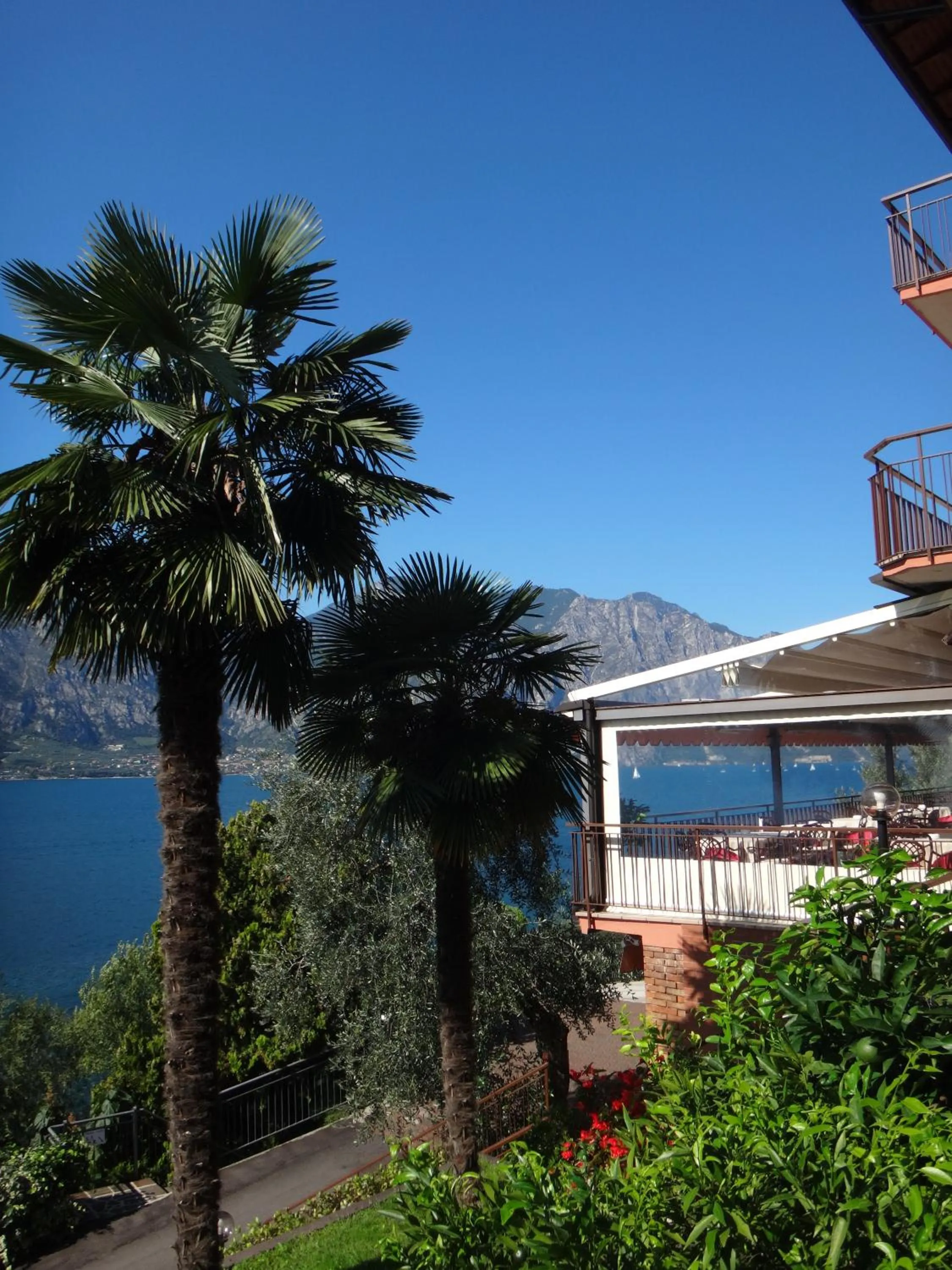 Day in Hotel Villa Carmen