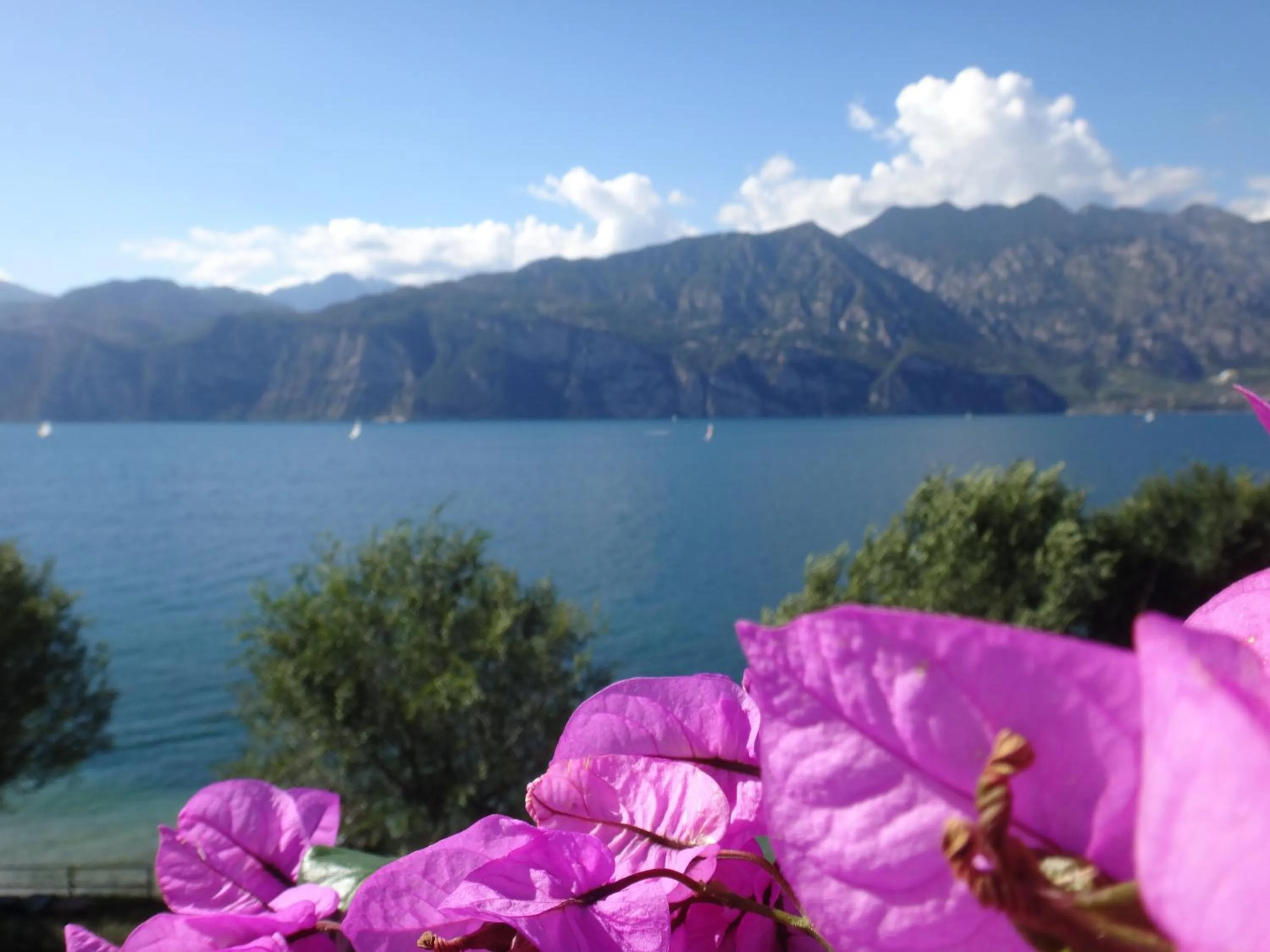 Day in Hotel Villa Carmen