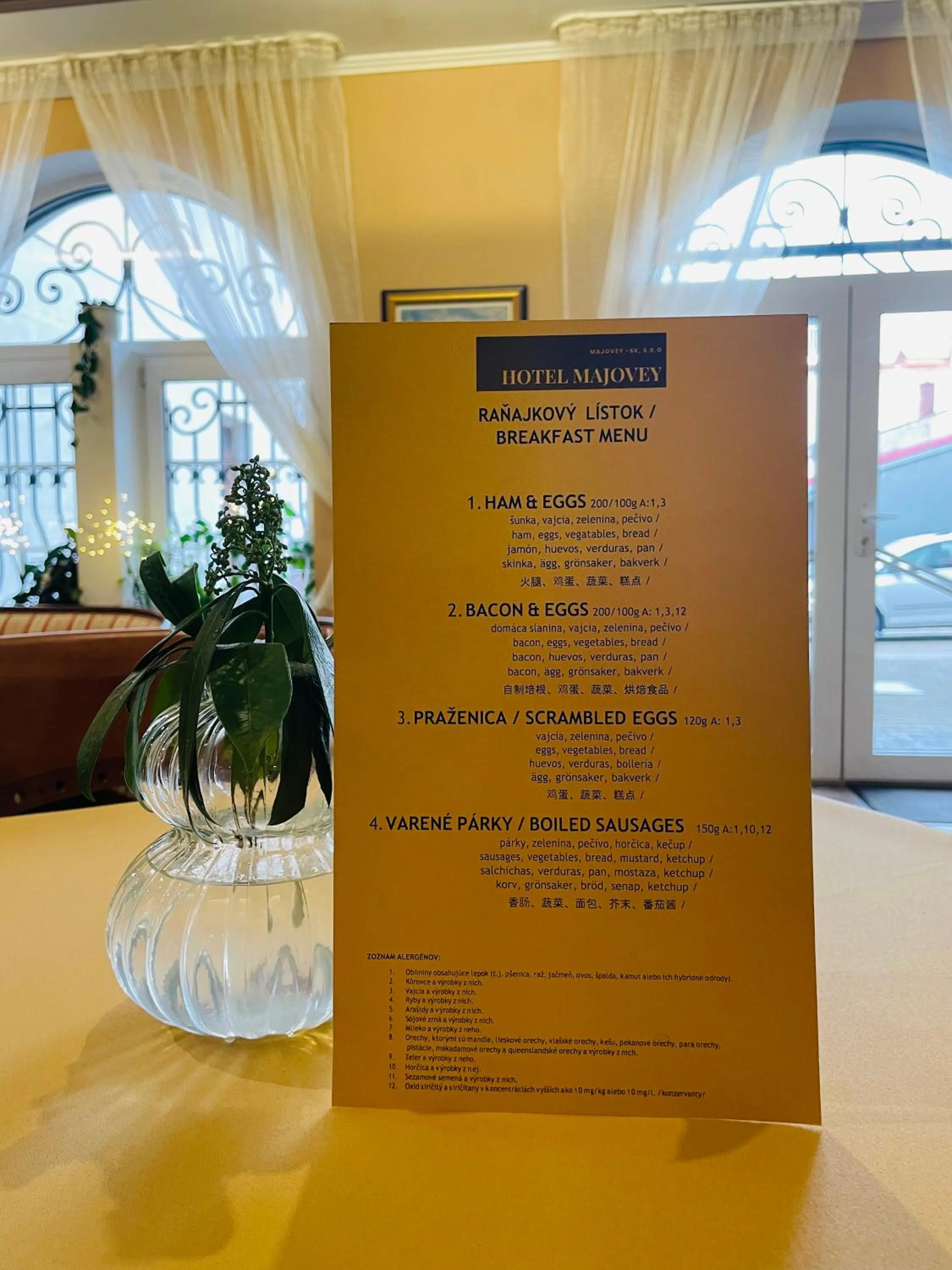 Breakfast in Hotel Majovey