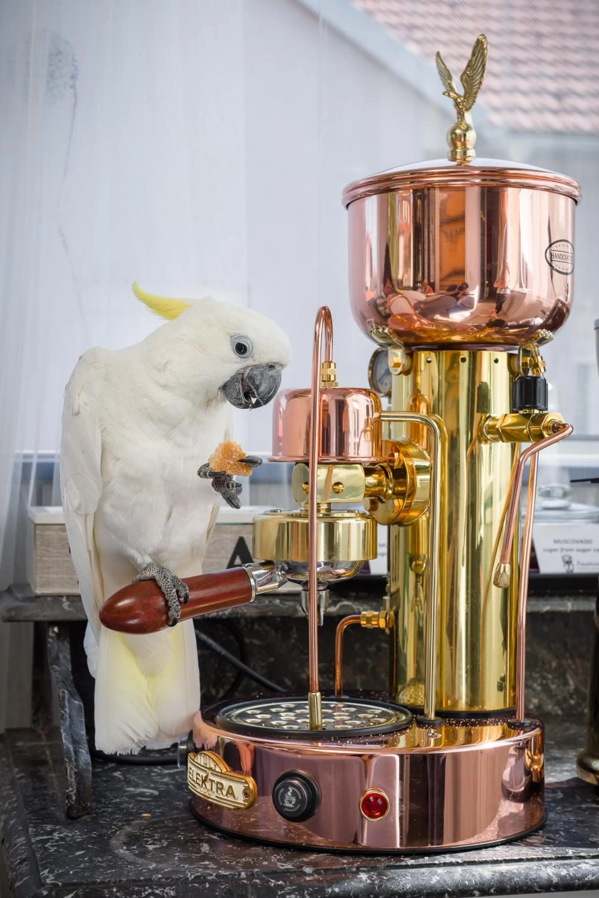 Food and drinks in Anastasia Suites Zagreb