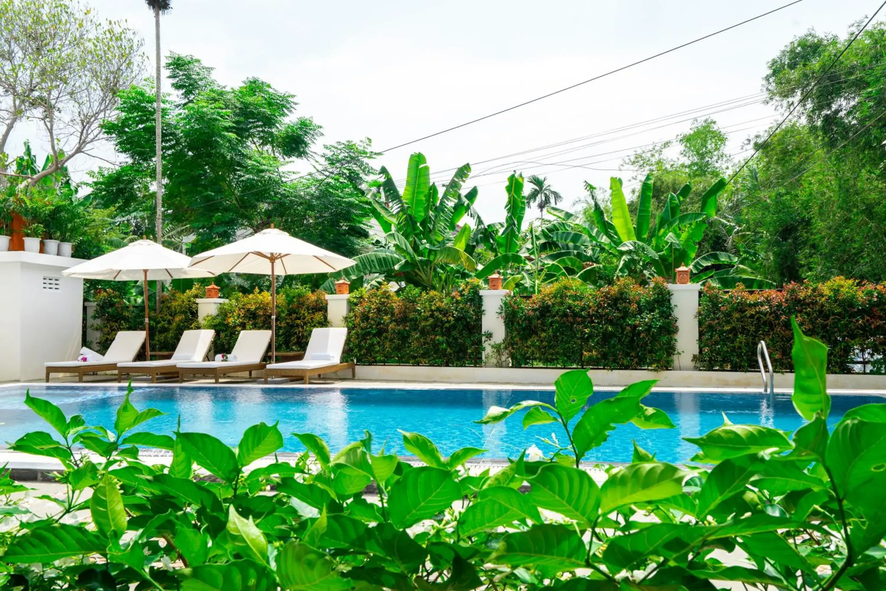 Swimming pool in Chieu Ha Village Riverside - Hoi An Swimming pool in Chieu Ha Village Riverside - Hoi An