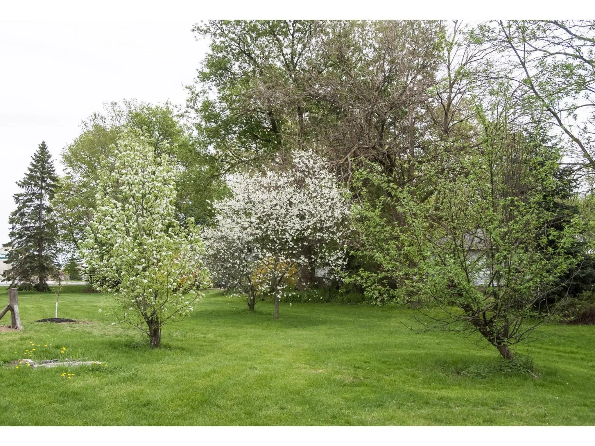 Spring in Culverdene House