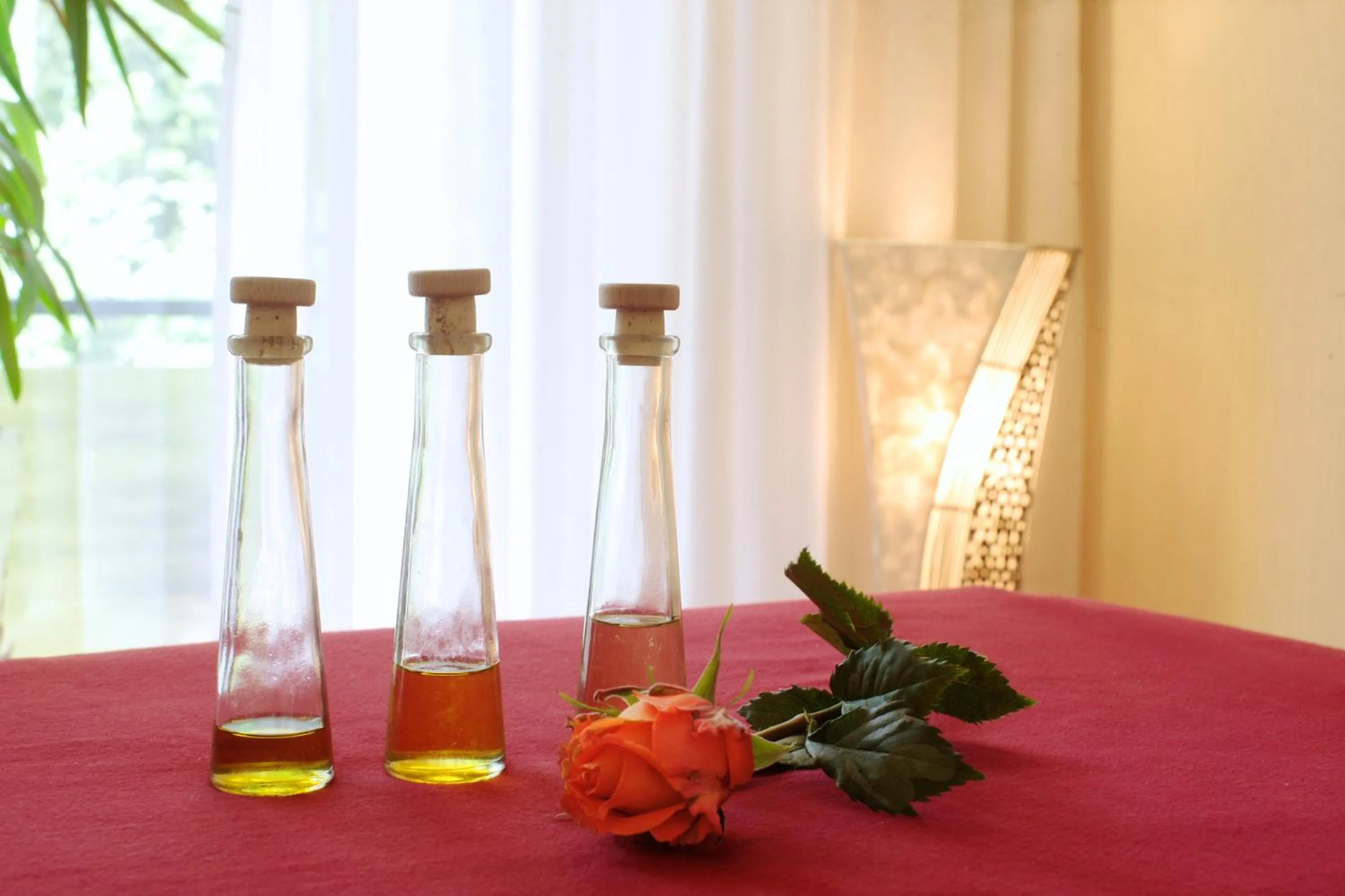 Spa and wellness centre/facilities in Hotel Pension Fortuna